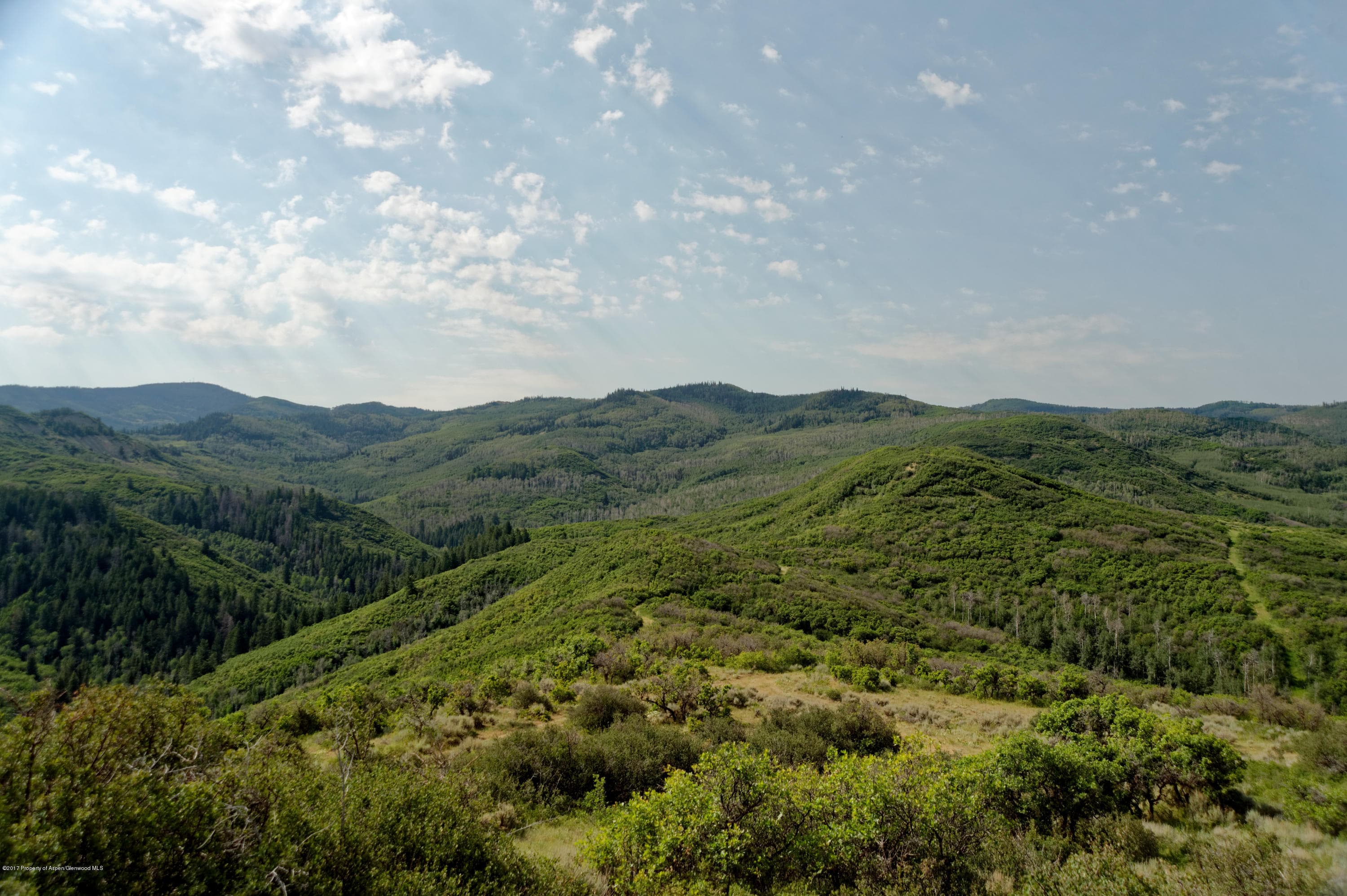 TBD County Road 312, New Castle, CO 81647 - Photo 18