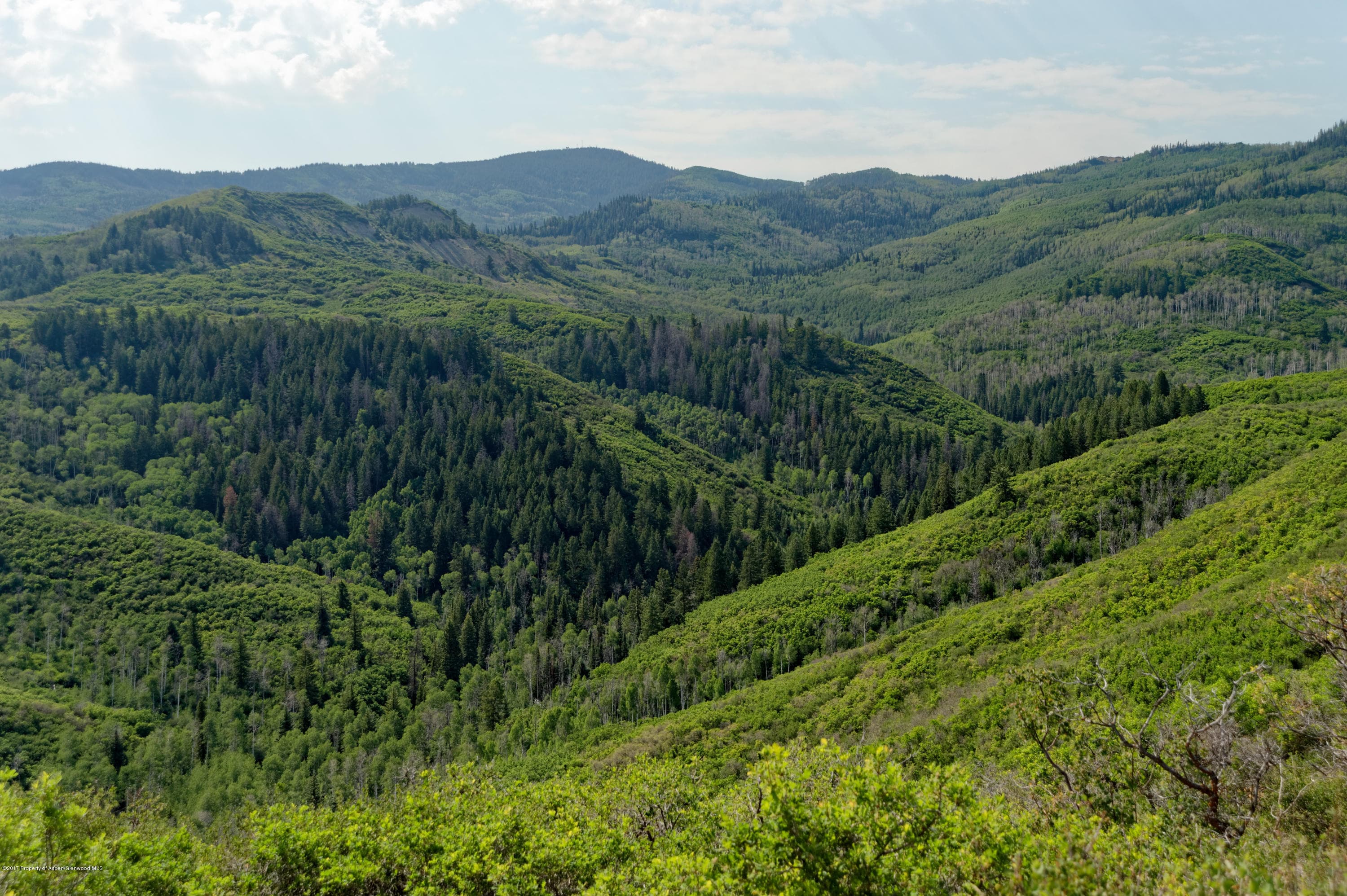 TBD County Road 312, New Castle, CO 81647 - Photo 20