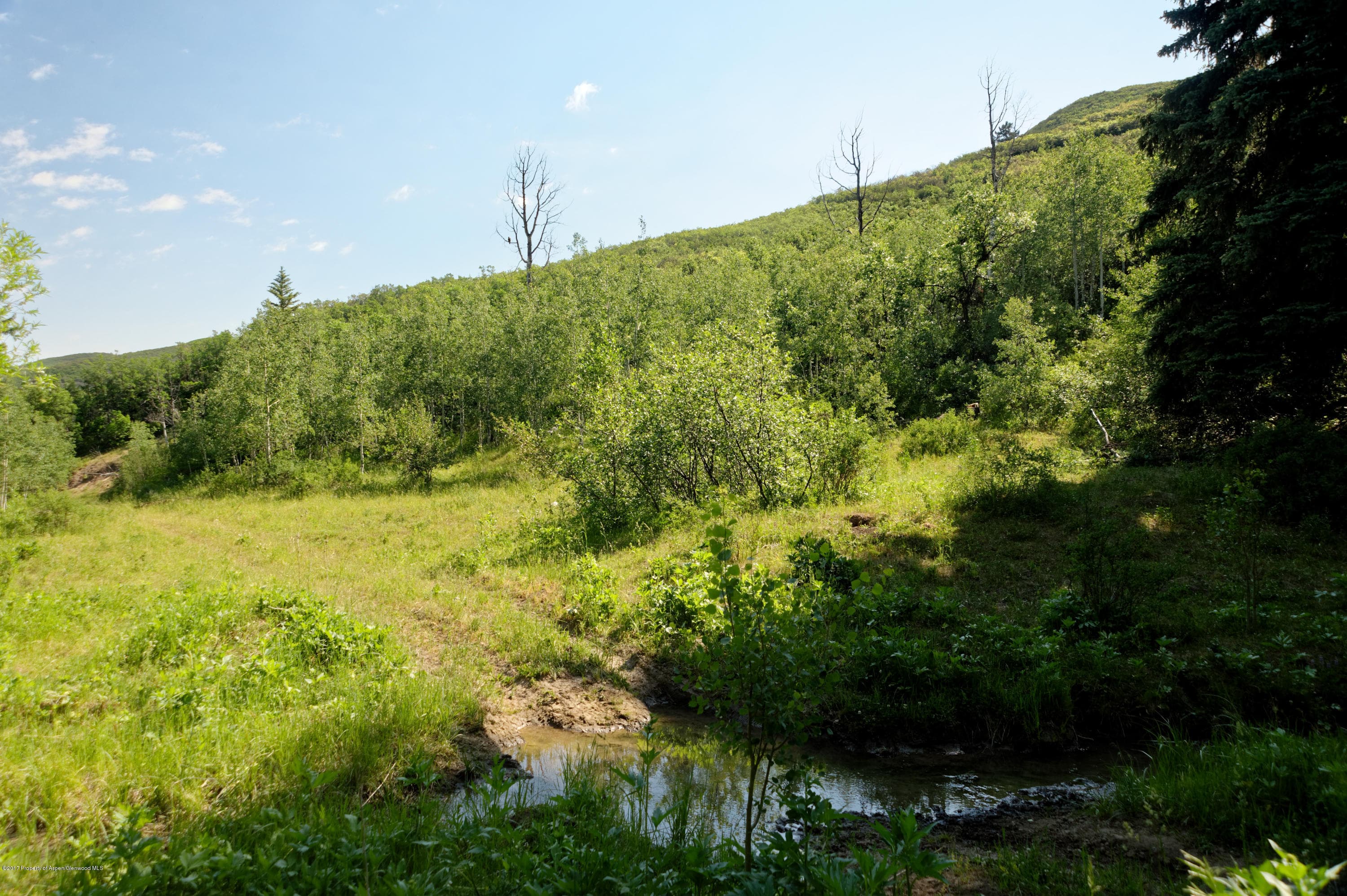 TBD County Road 312, New Castle, CO 81647 - Photo 23