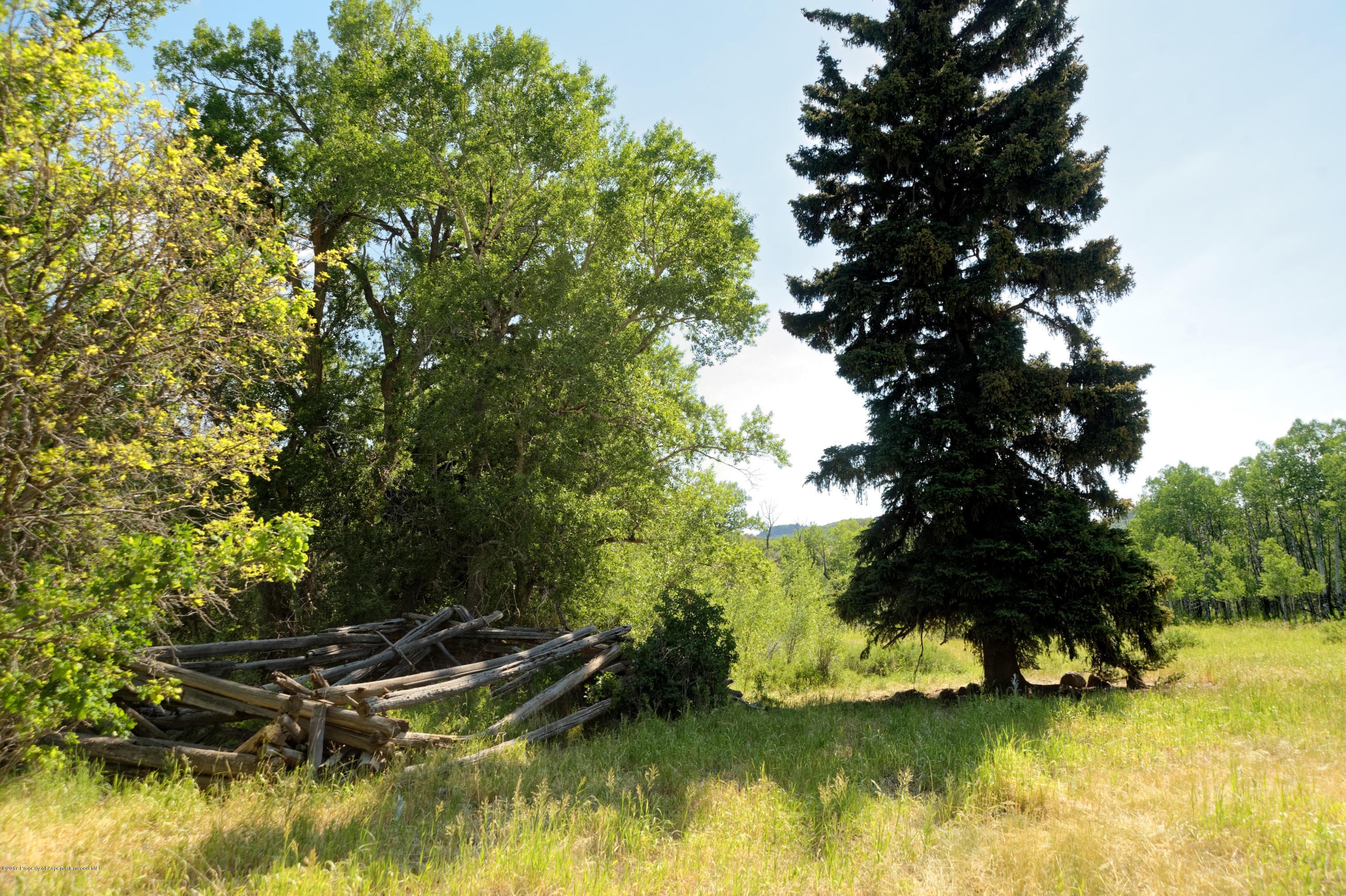 TBD County Road 312, New Castle, CO 81647 - Photo 29