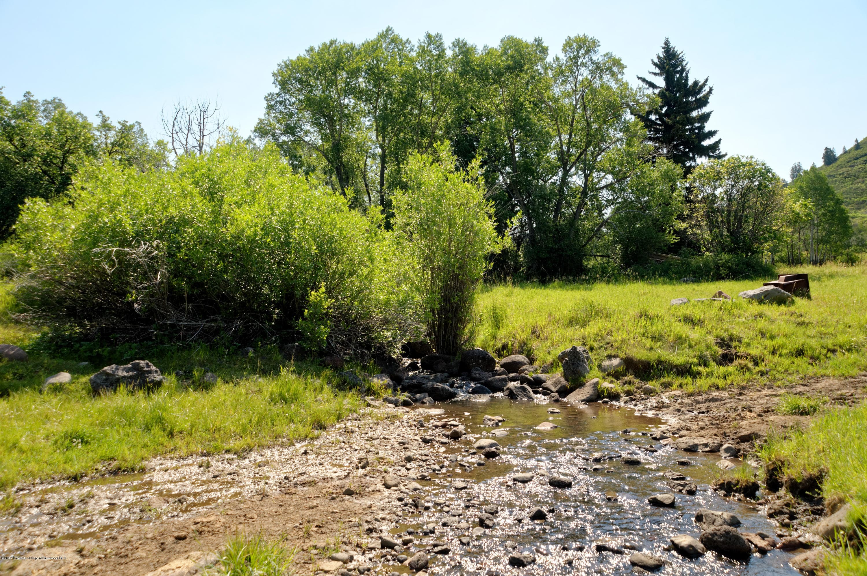 TBD County Road 312, New Castle, CO 81647 - Photo 31