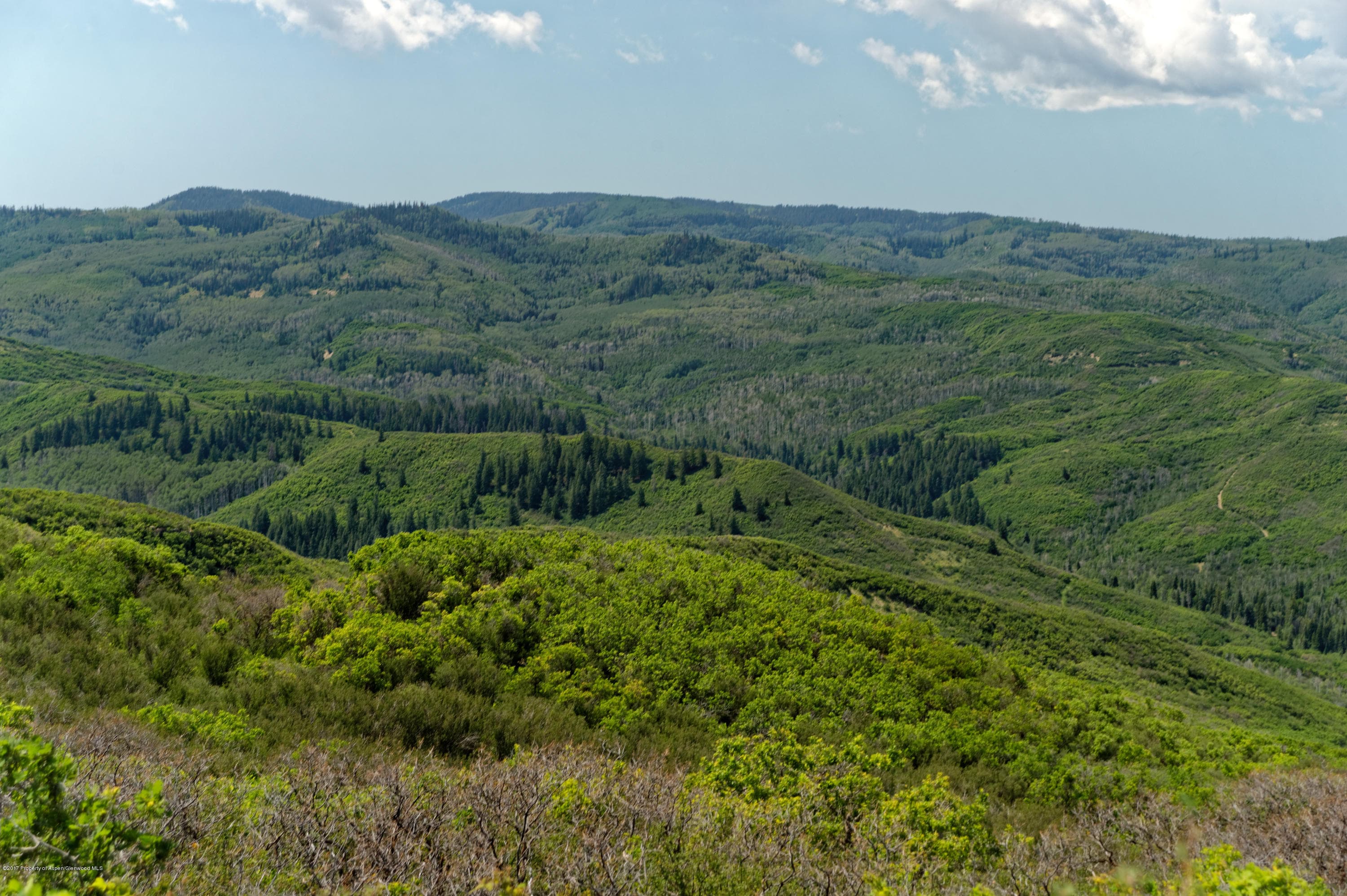 TBD County Road 312, New Castle, CO 81647 - Photo 36