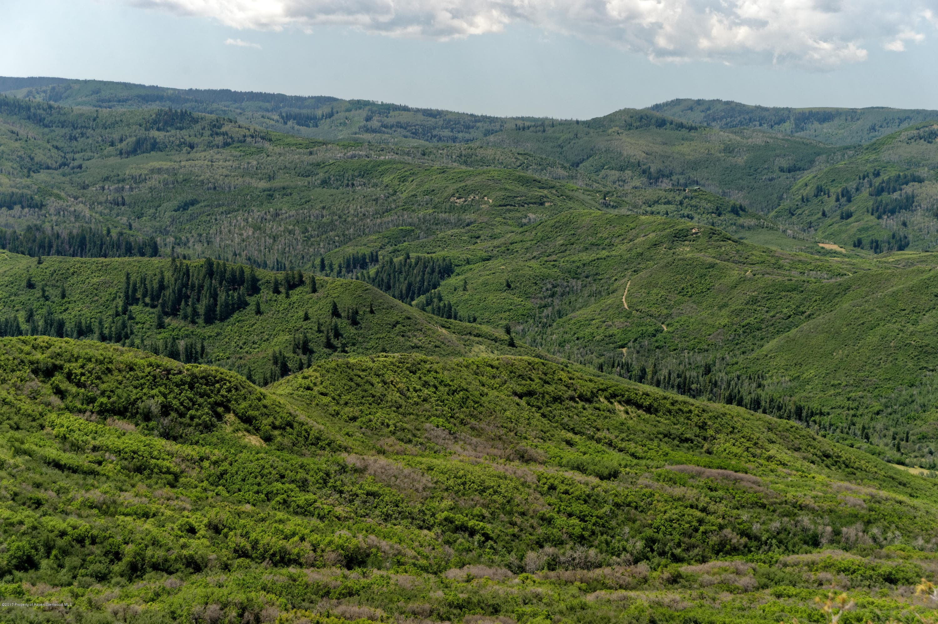 TBD County Road 312, New Castle, CO 81647 - Photo 38