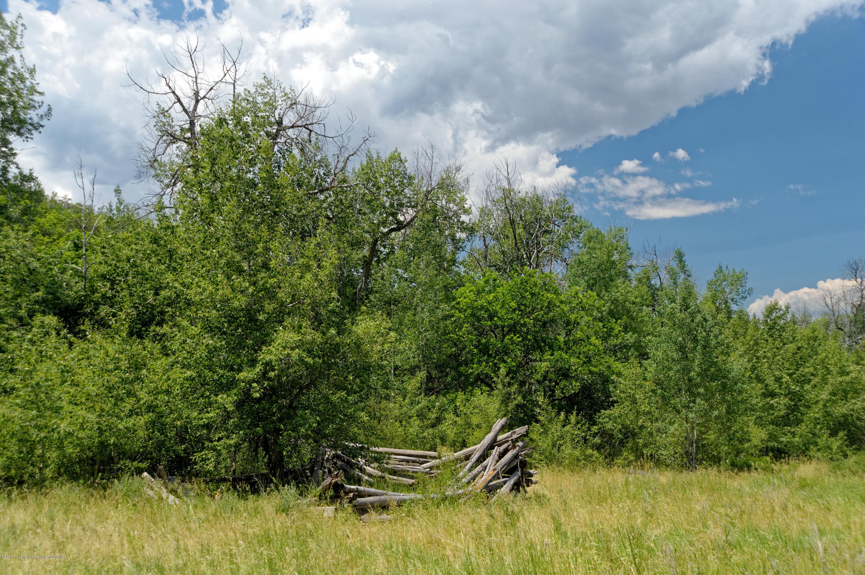 TBD County Road 312, New Castle, CO 81647 - Photo 43