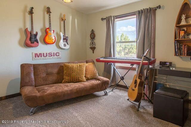 1171 County Road 259, Rifle, CO 81650 - Photo 11