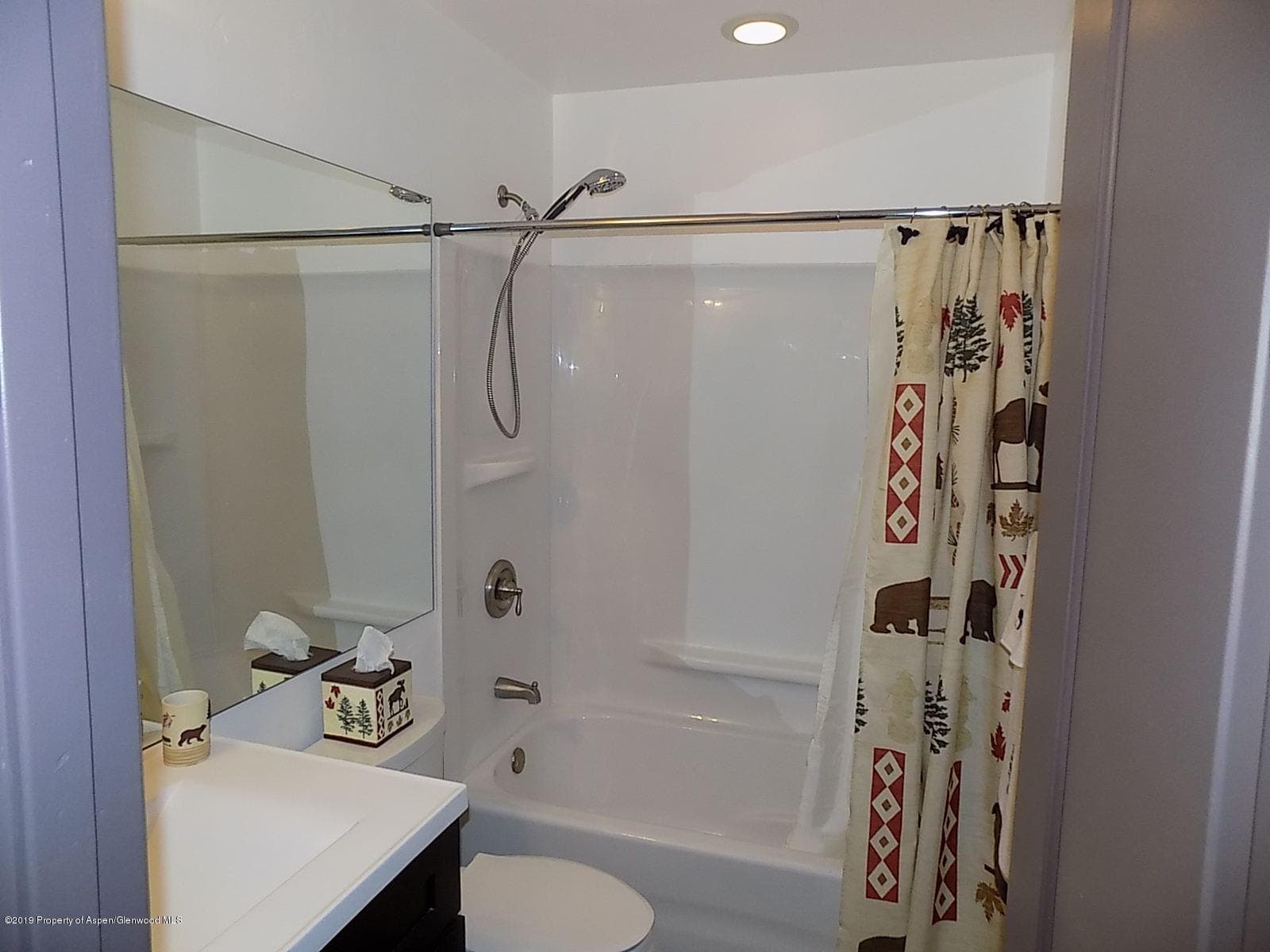27 S Meadow View Court, Glenwood Springs, CO 81601 - Photo 28