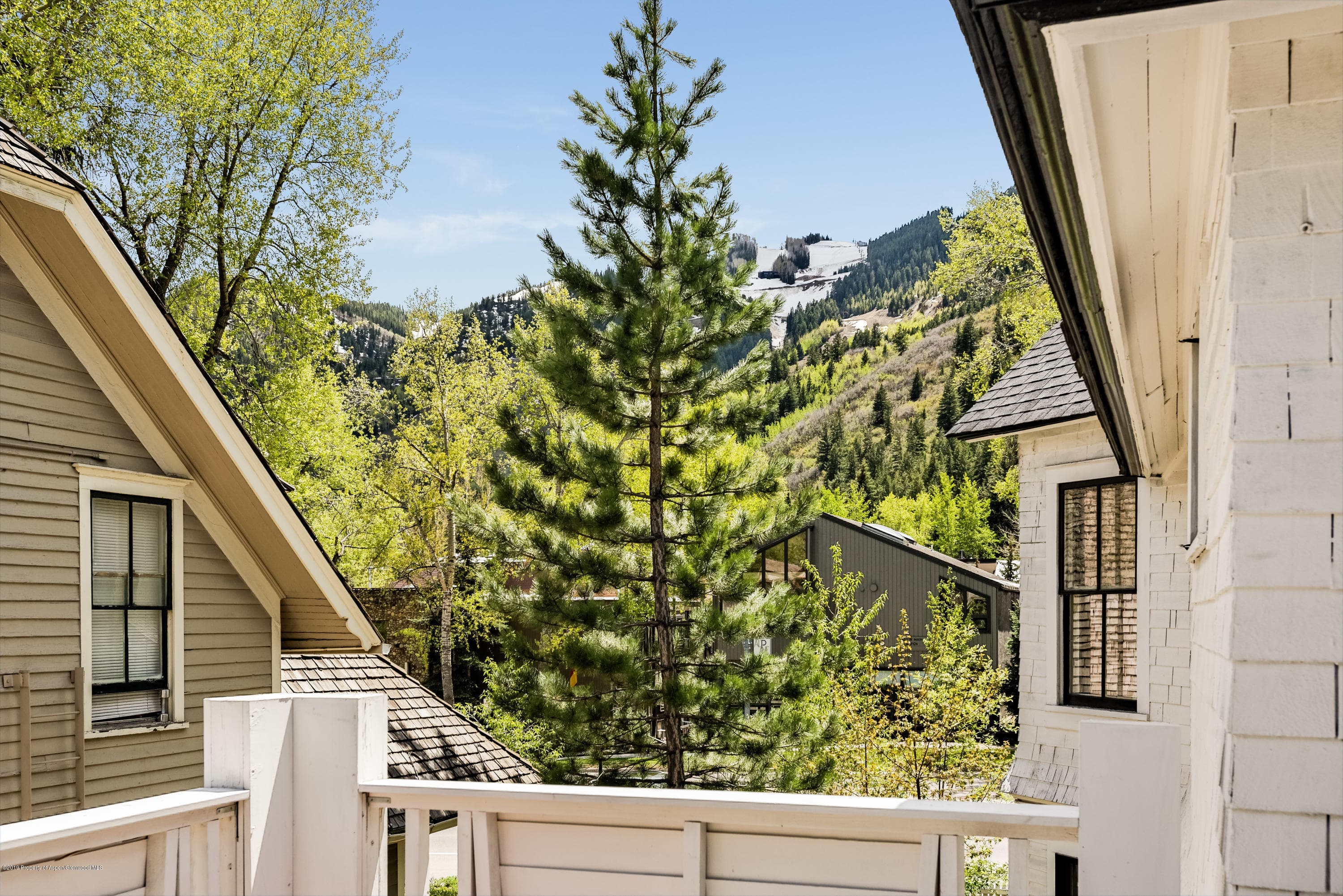 332 W Main Street C, Aspen, CO 81611 - Photo 12