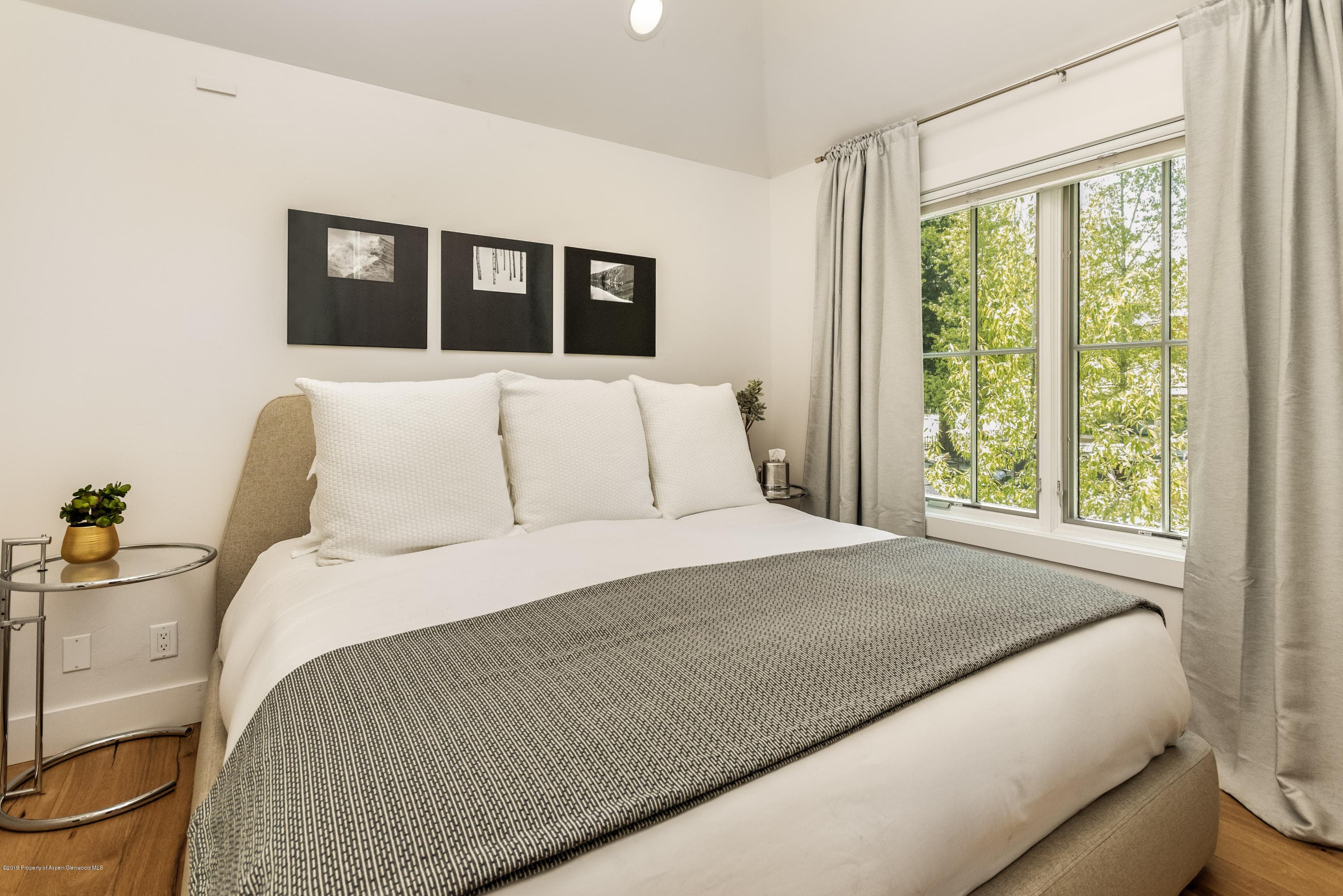 332 W Main Street C, Aspen, CO 81611 - Photo 13
