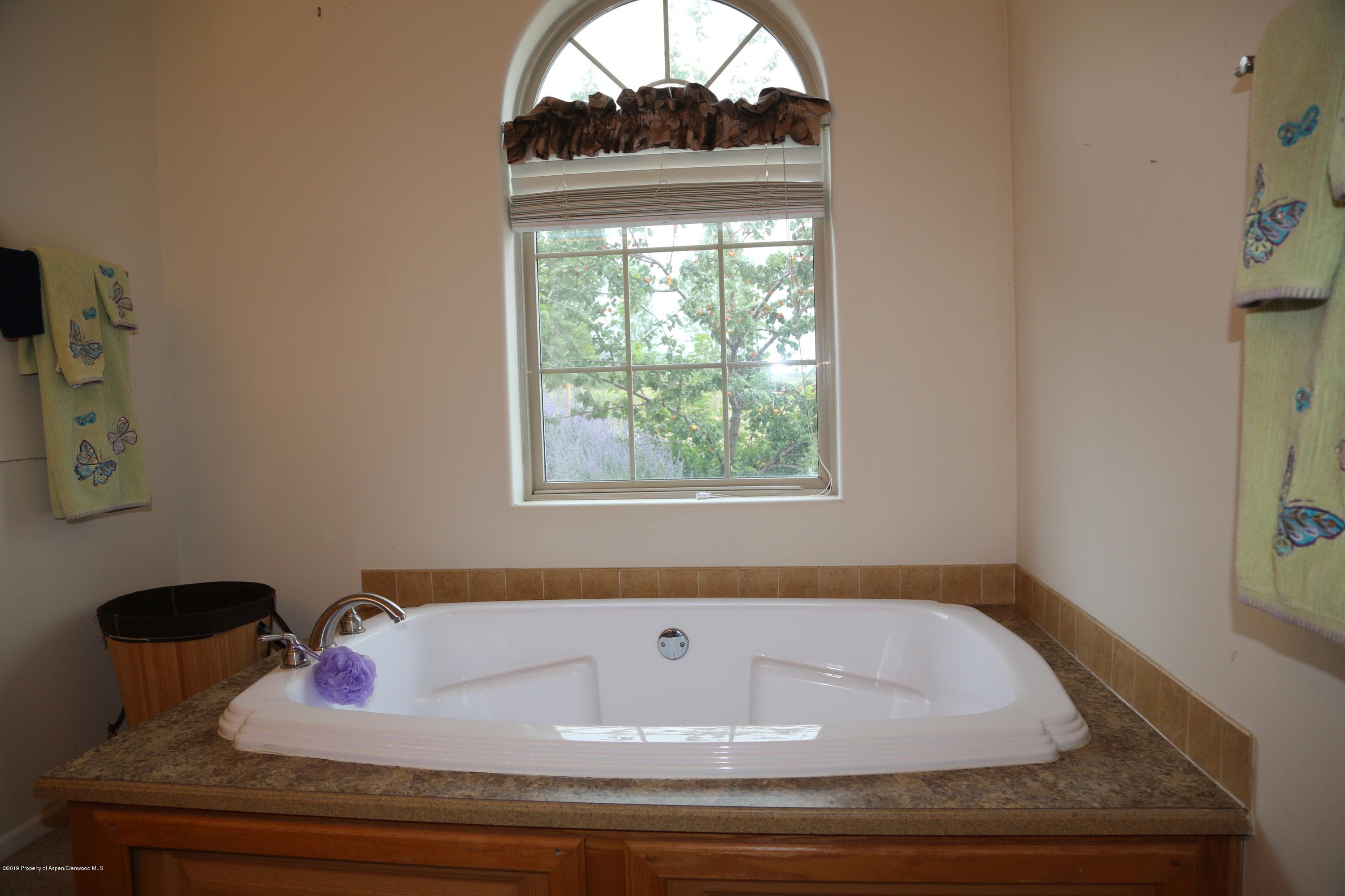129 Larkspur Court, Silt, CO 81652 - Photo 21
