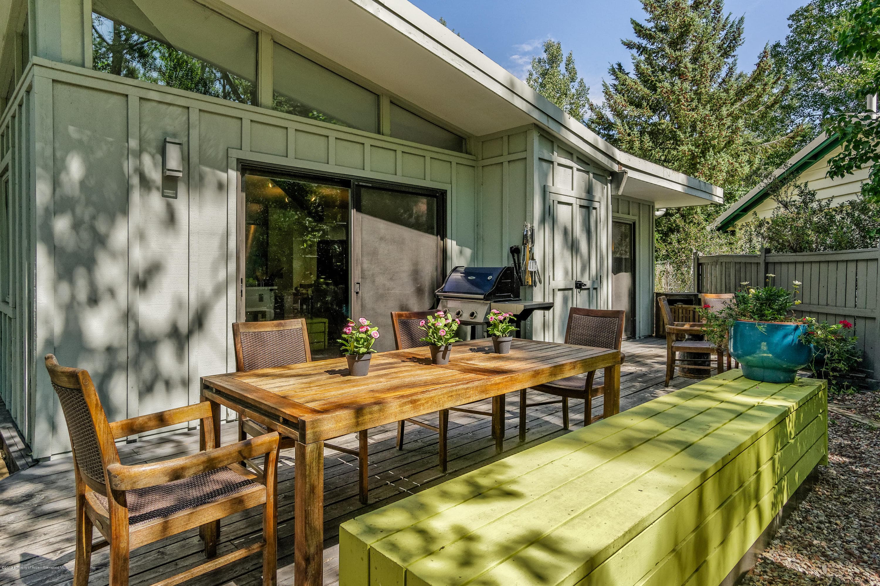 630 W Hallam Street 1, Aspen, CO 81611 - Photo 19