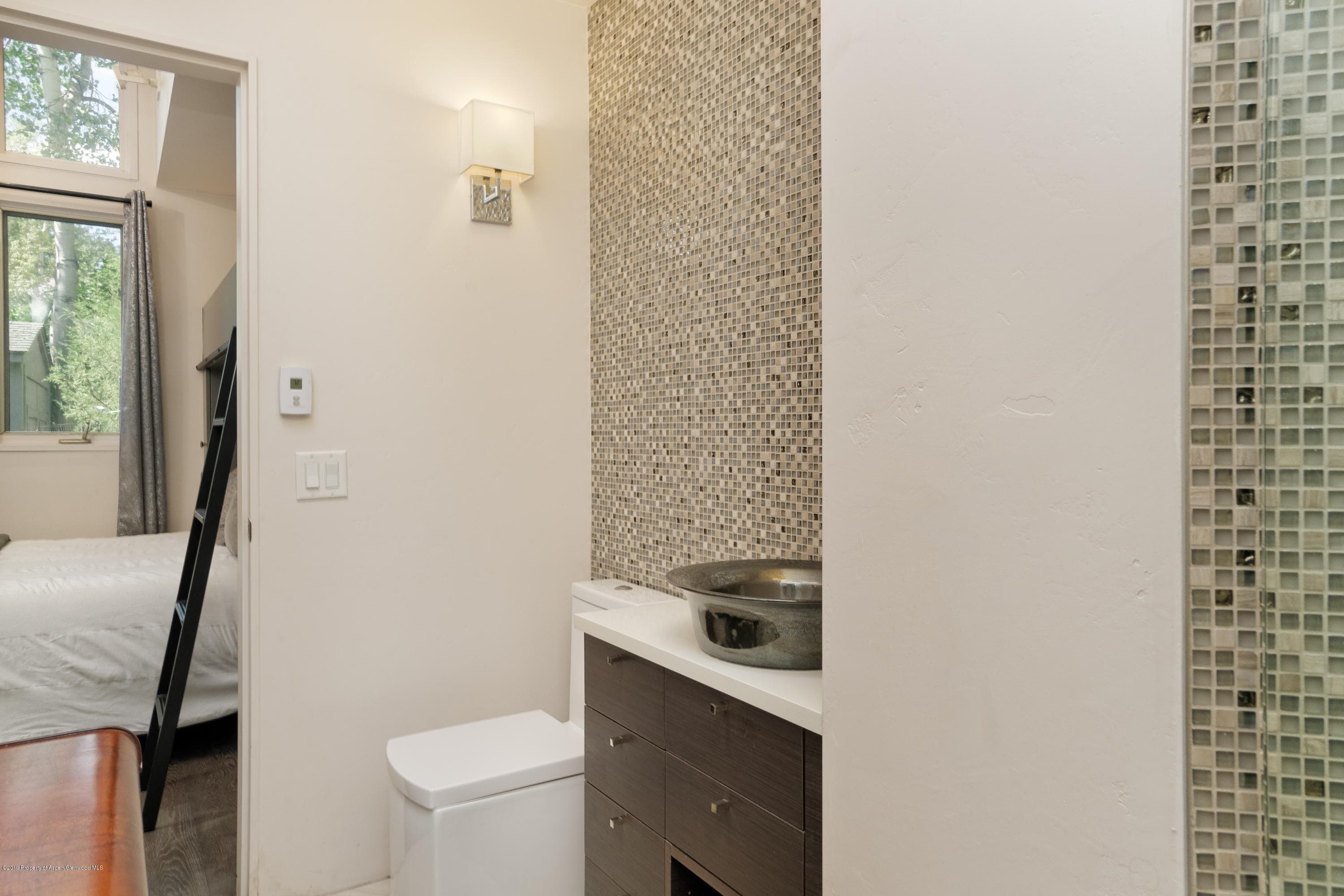 630 W Hallam Street 1, Aspen, CO 81611 - Photo 17