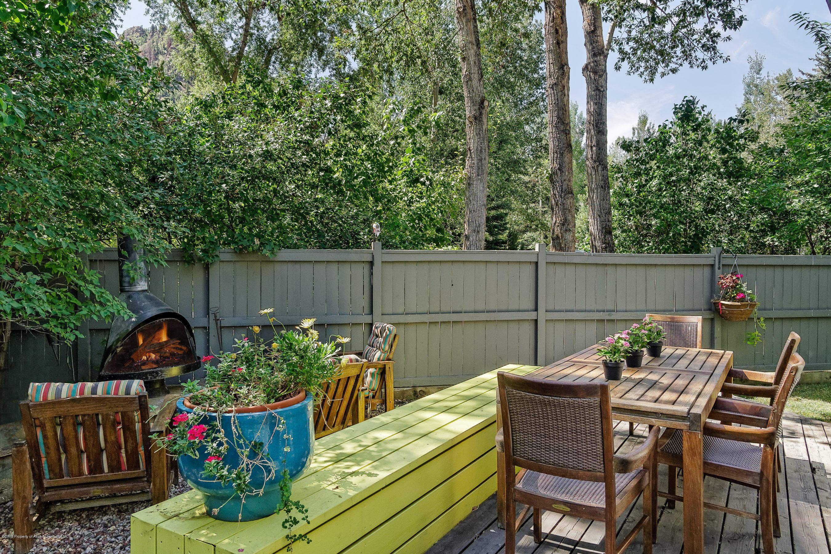 630 W Hallam Street 1, Aspen, CO 81611 - Photo 22