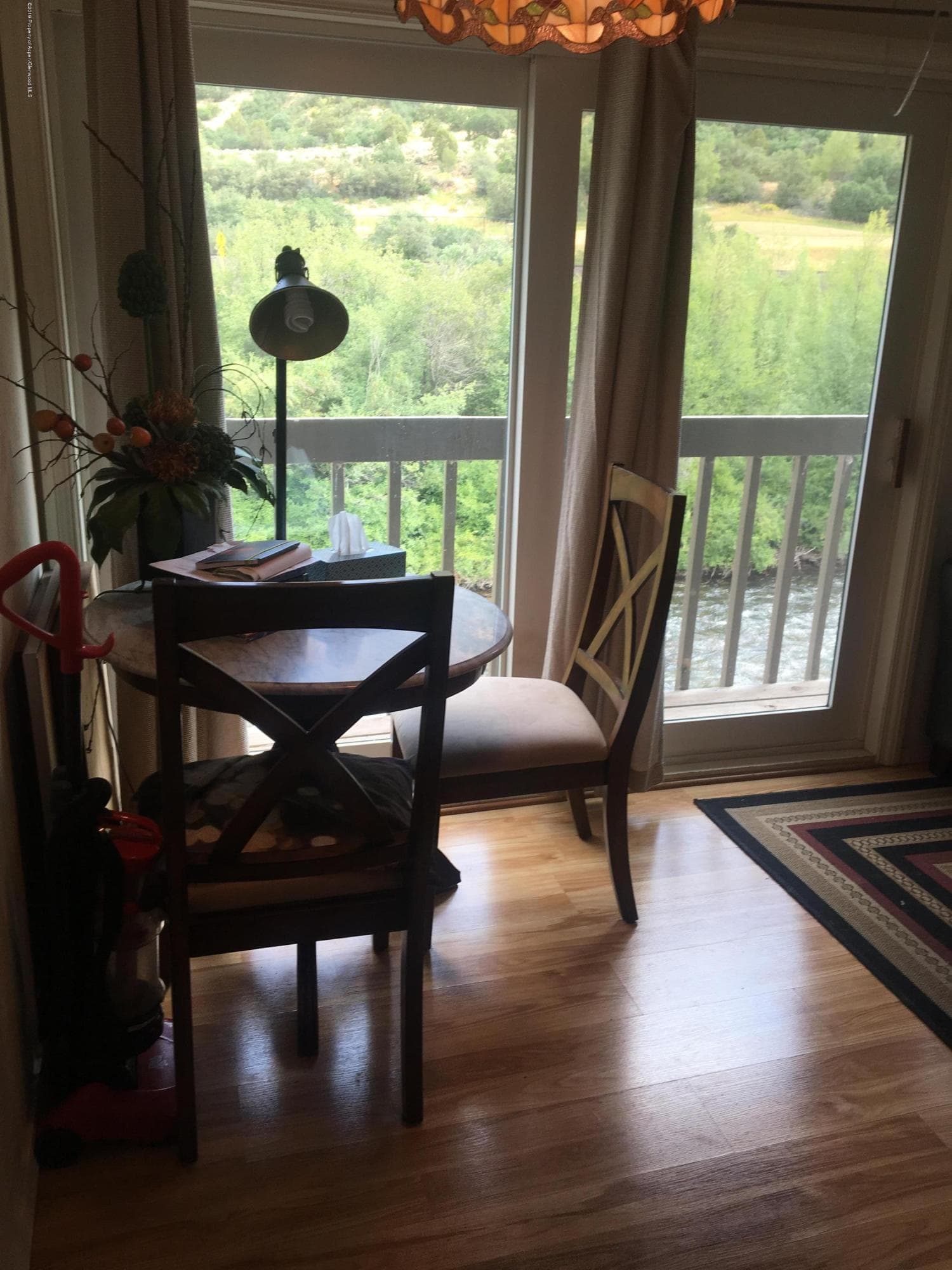 203 Waterview Drive, Snowmass, CO 81654 - Photo 3