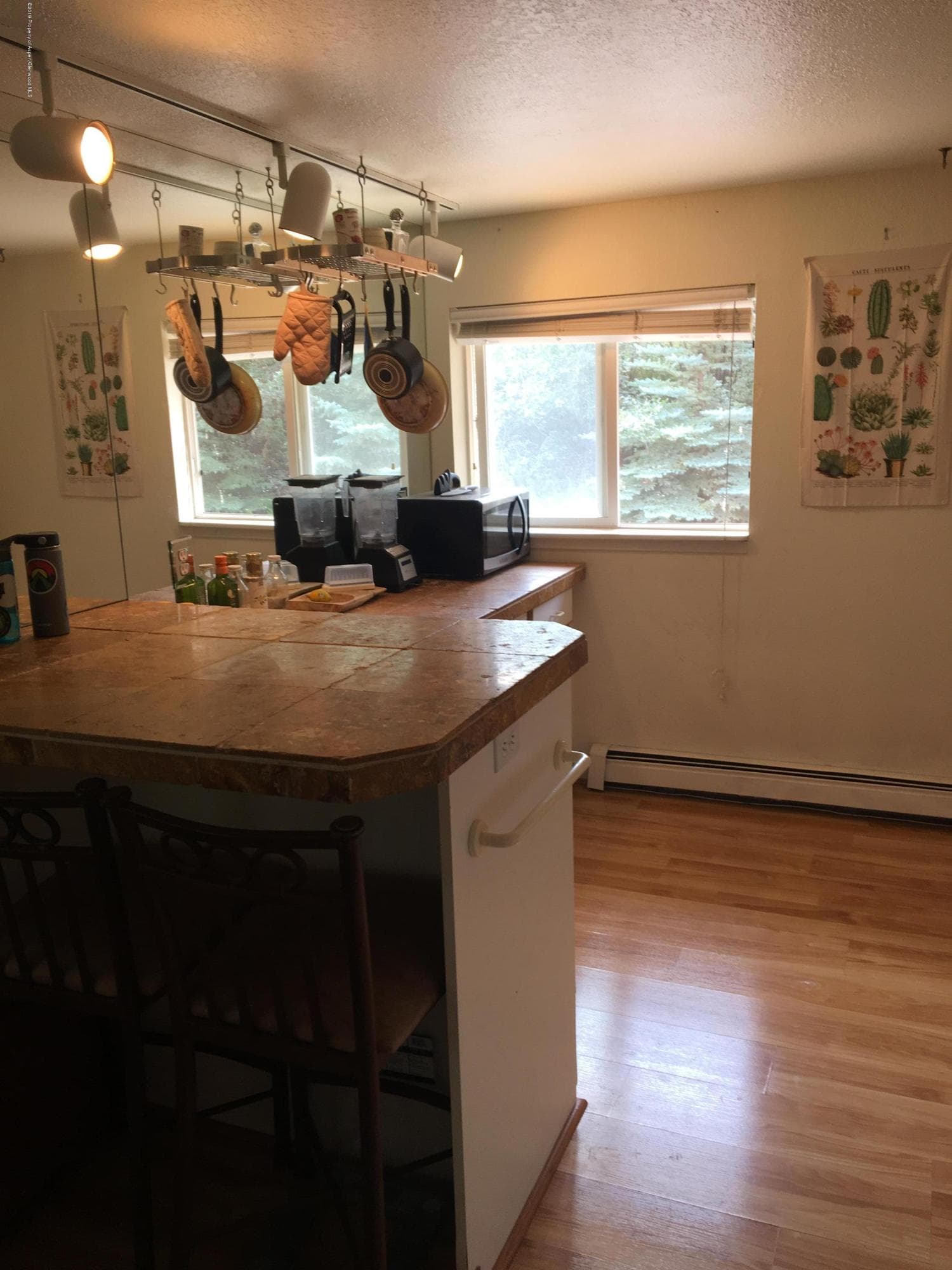 203 Waterview Drive, Snowmass, CO 81654 - Photo 6