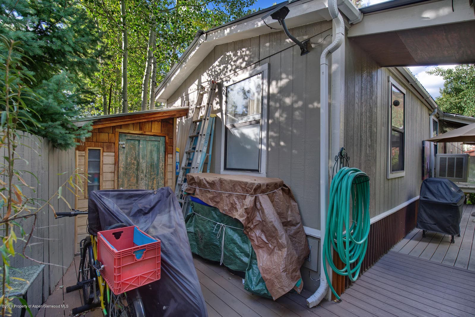 216 Cottonwood Lane, Aspen, CO 81611 - Photo 14