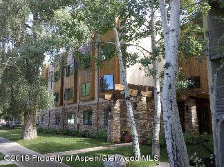 119 E Cooper Avenue 18, Aspen, CO 81611 - Photo 12