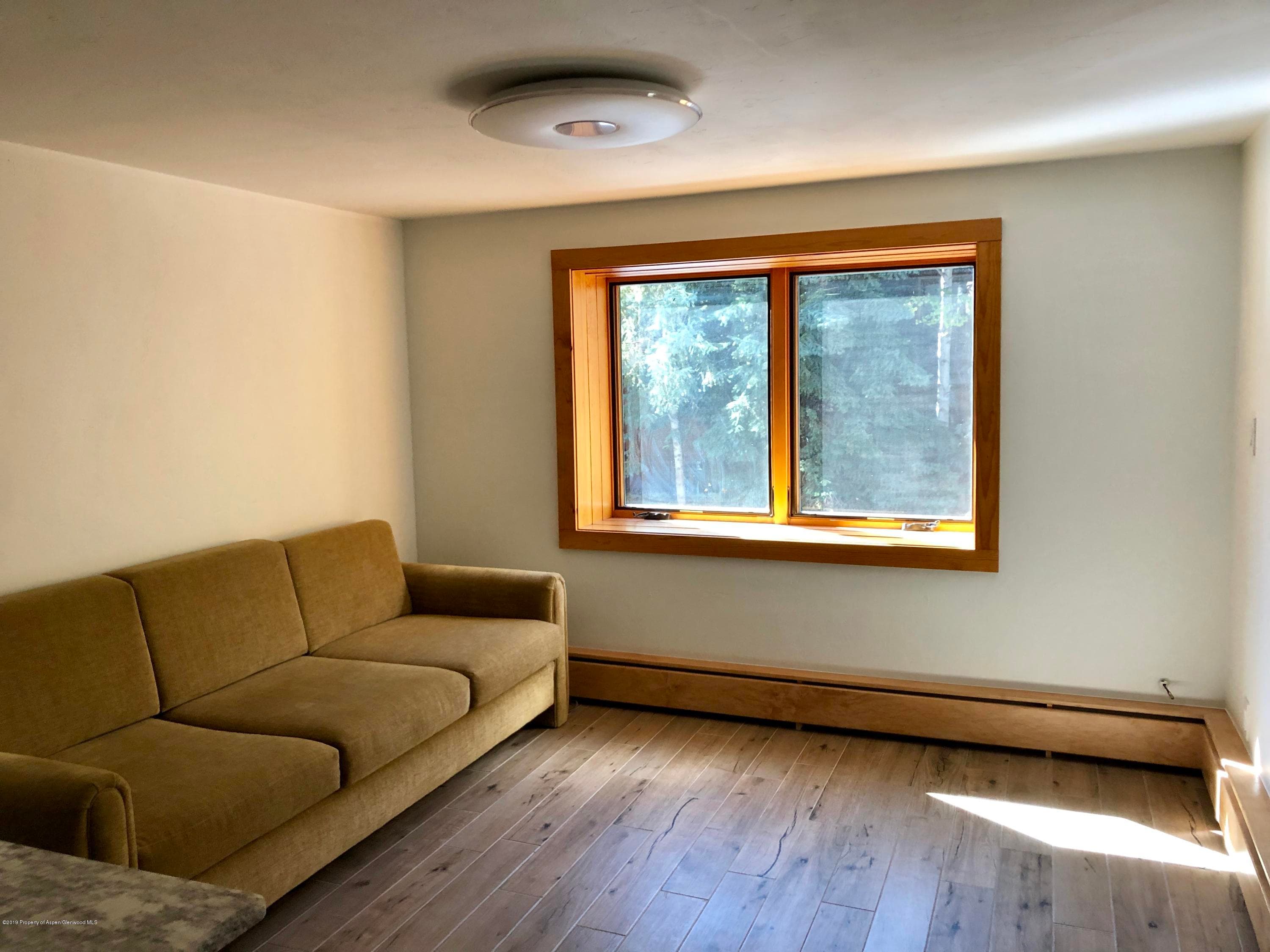 119 E Cooper Avenue 18, Aspen, CO 81611 - Photo 3