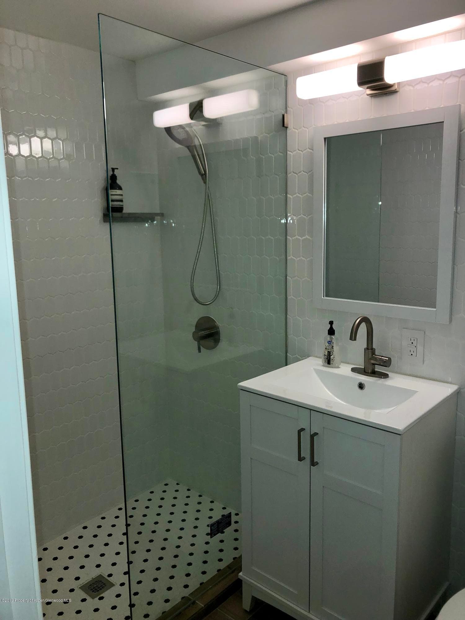 119 E Cooper Avenue 18, Aspen, CO 81611 - Photo 7