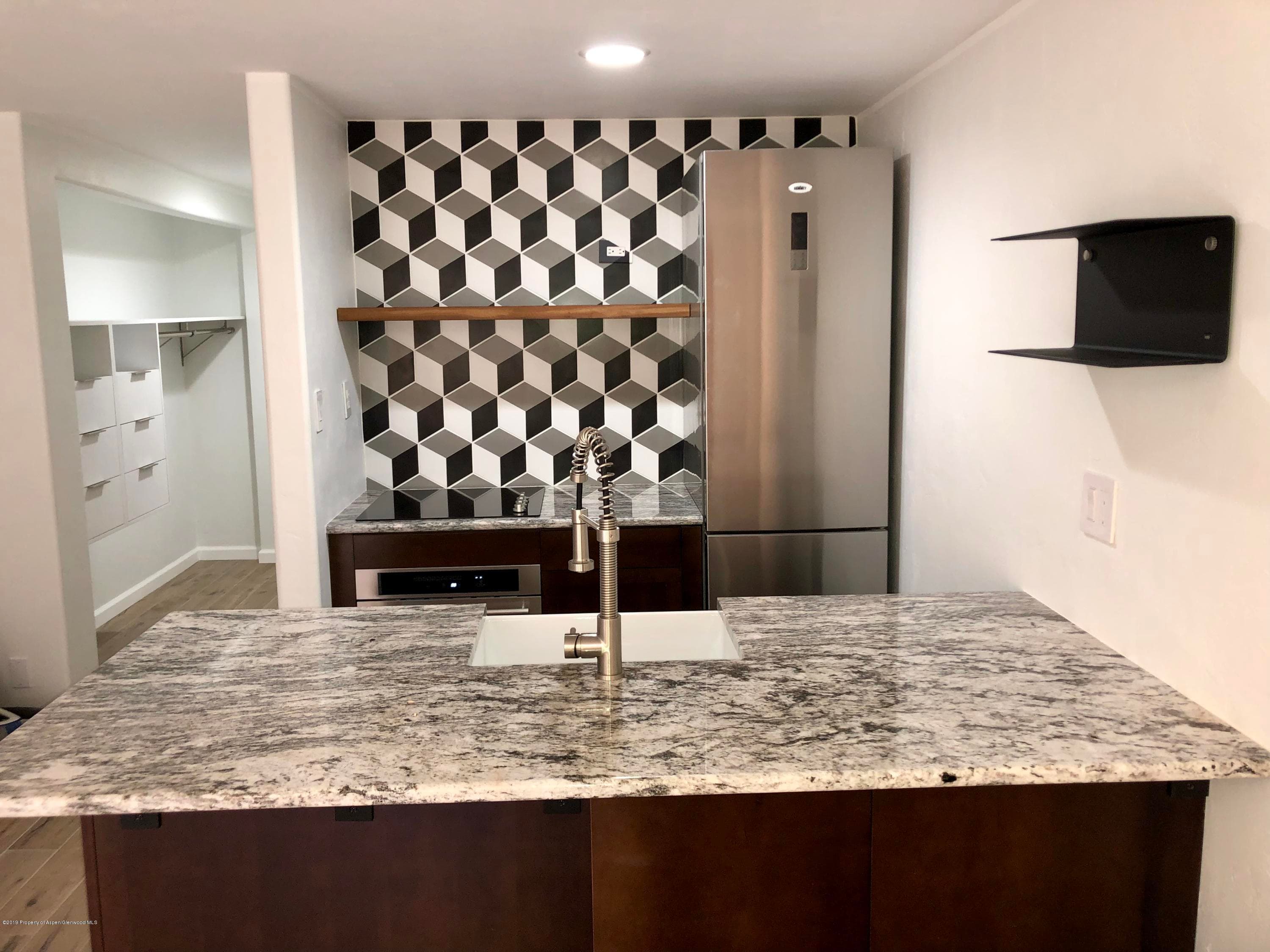 119 E Cooper Avenue 18, Aspen, CO 81611 - Photo 4