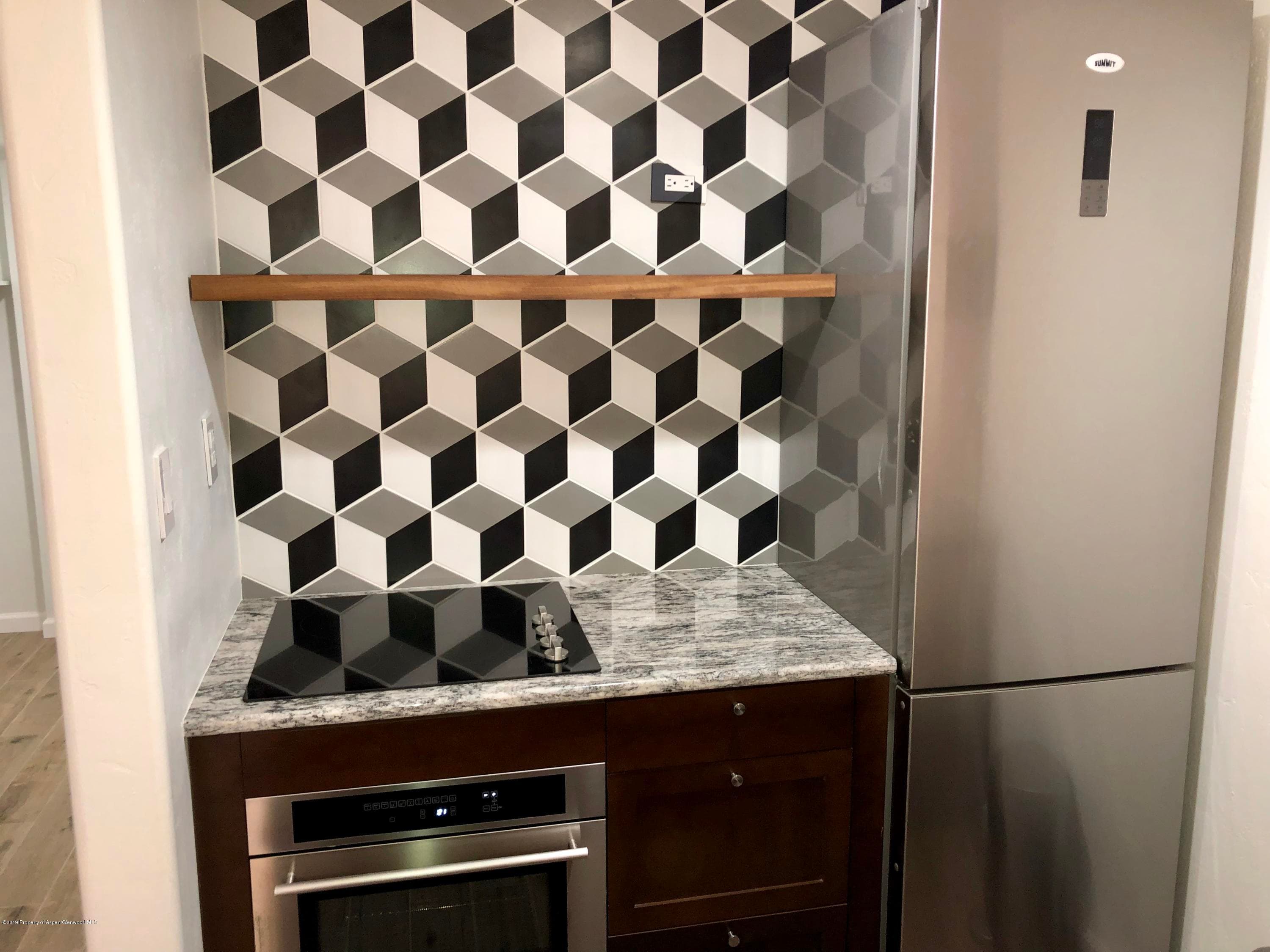 119 E Cooper Avenue 18, Aspen, CO 81611 - Photo 5