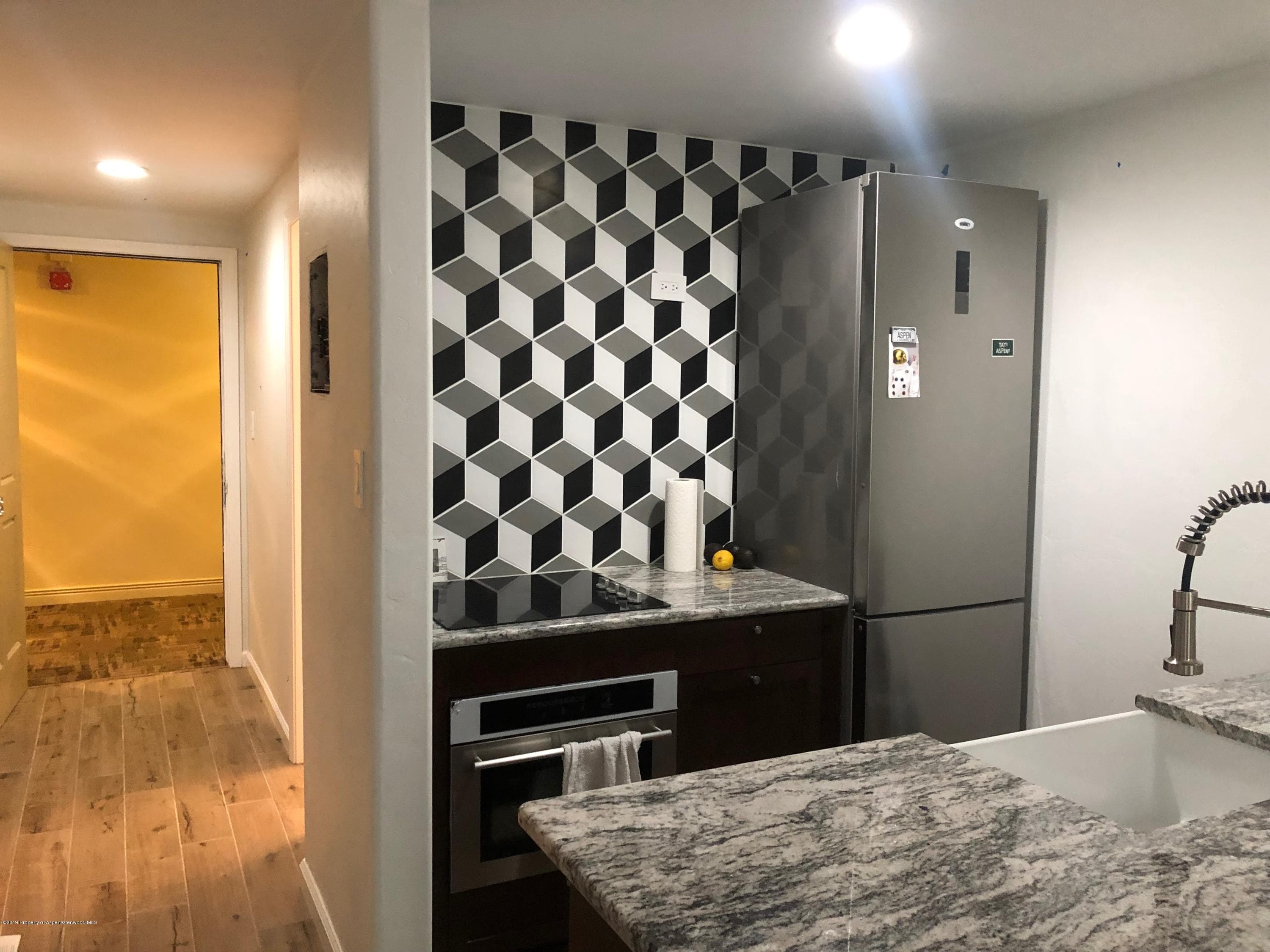 119 E Cooper Avenue 18, Aspen, CO 81611