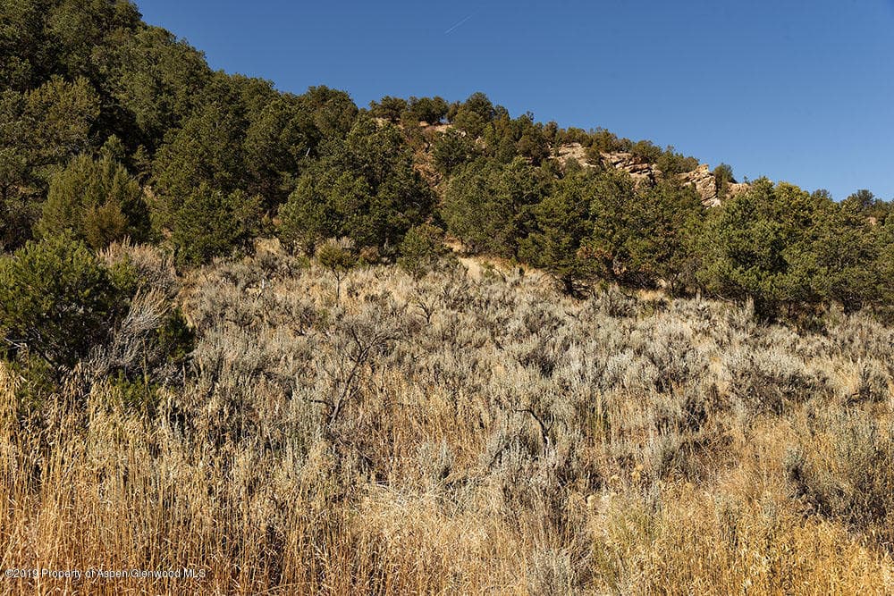 3865 Crystal Bridge Drive, Carbondale, CO 81623 - Photo 4