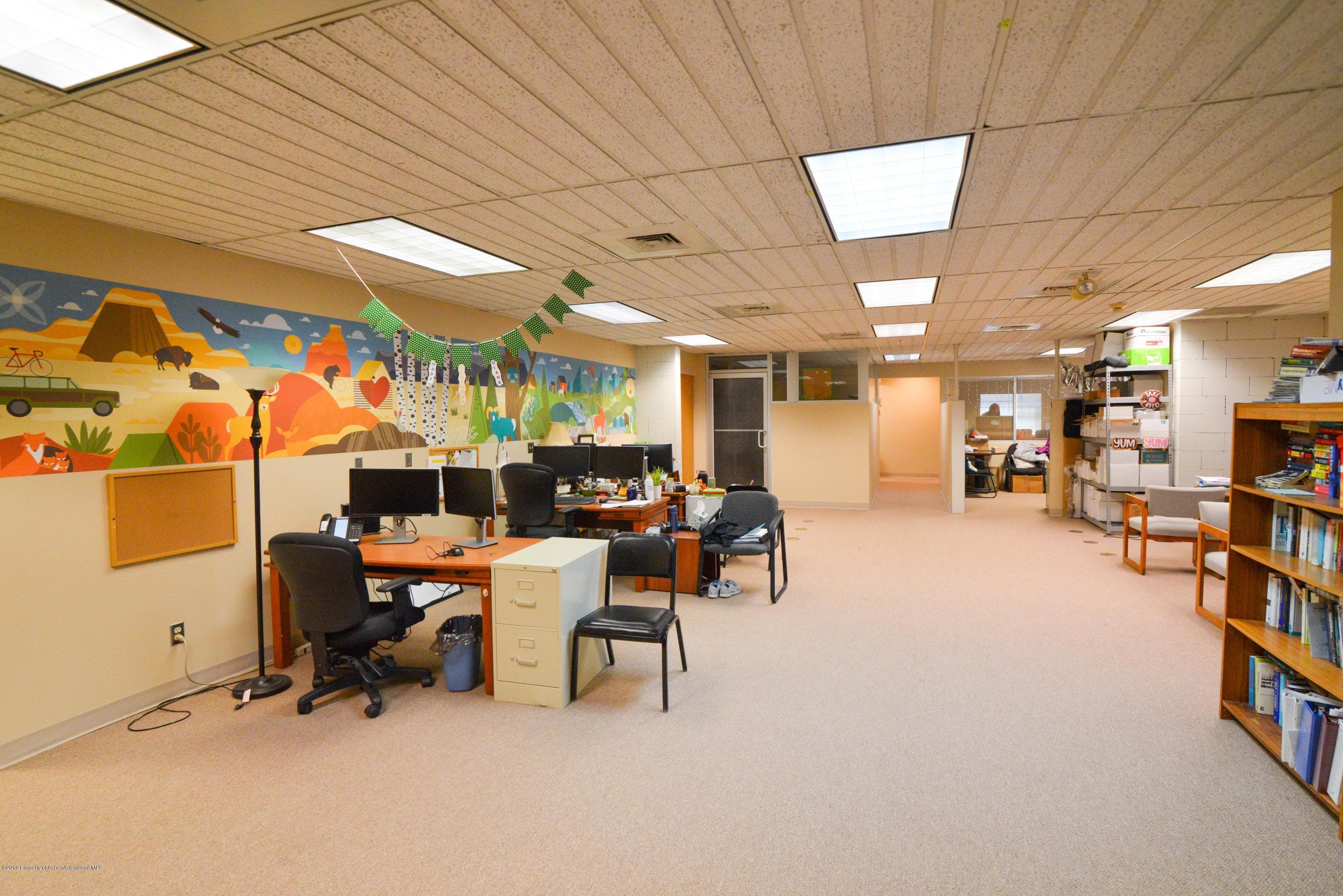 6916 Highway 82, Glenwood Springs, CO 81601 - Photo 12