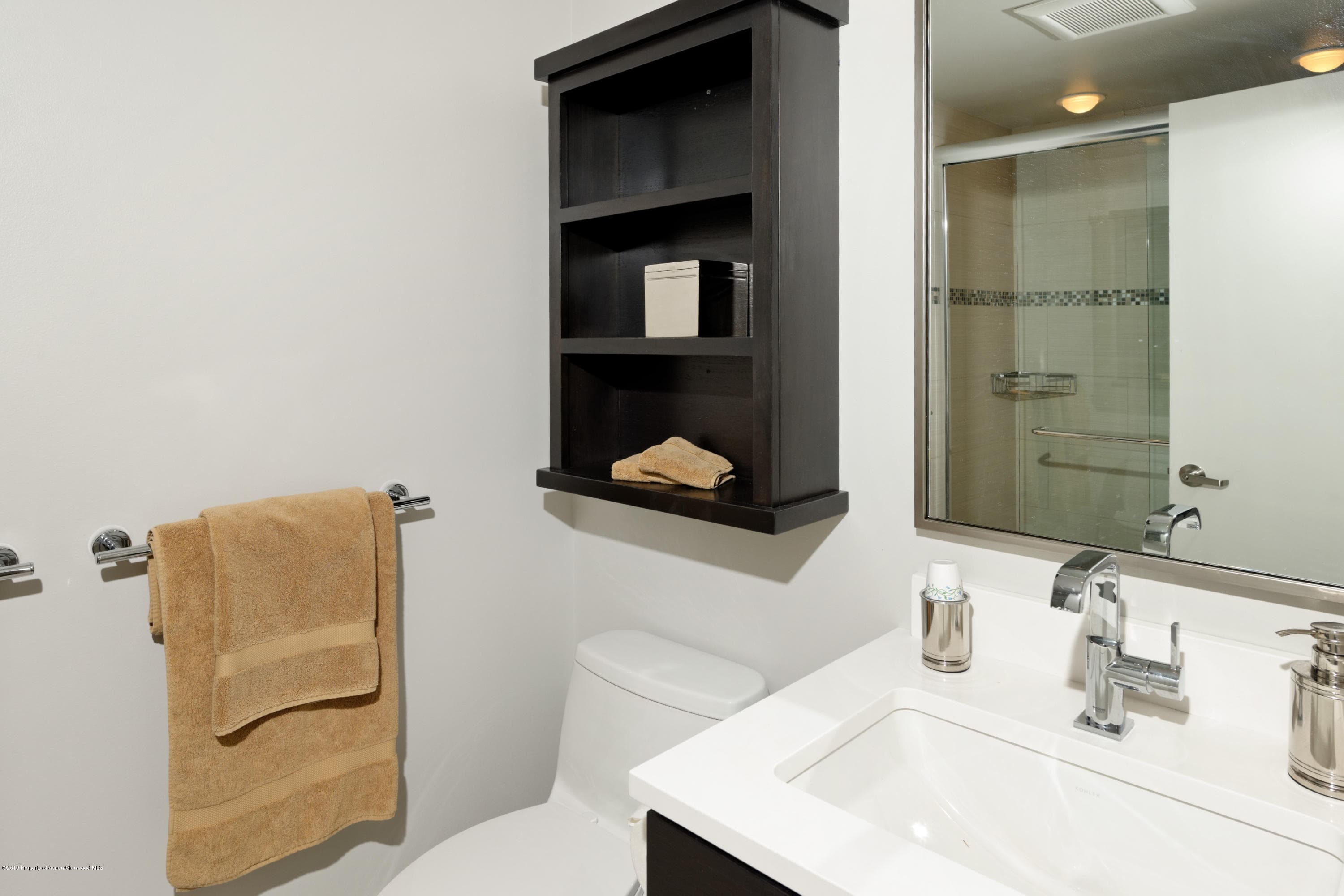 1039 E Cooper Avenue 27, Aspen, CO 81611 - Photo 10