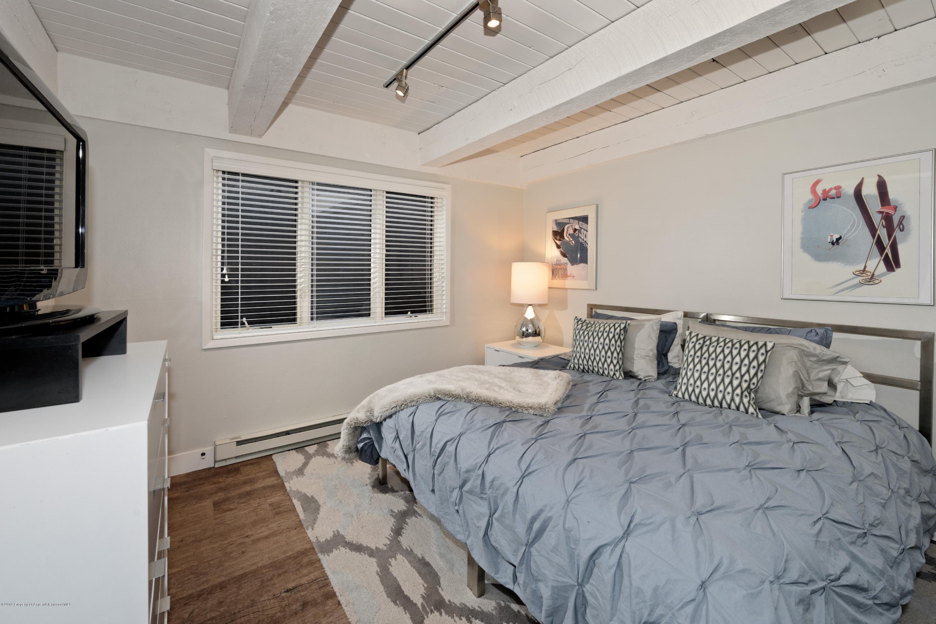 1039 E Cooper Avenue 27, Aspen, CO 81611 - Photo 7