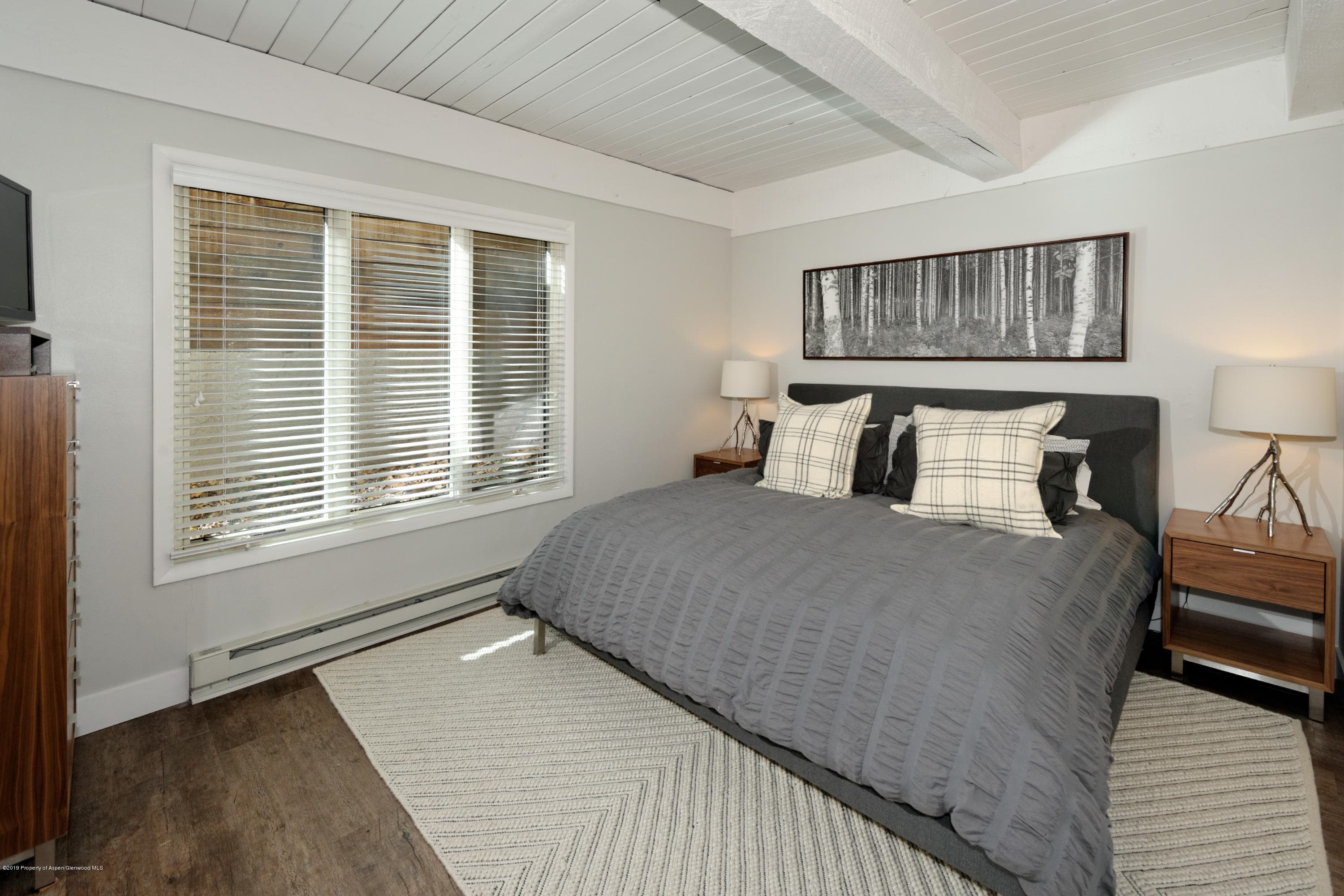 1039 E Cooper Avenue 27, Aspen, CO 81611 - Photo 8