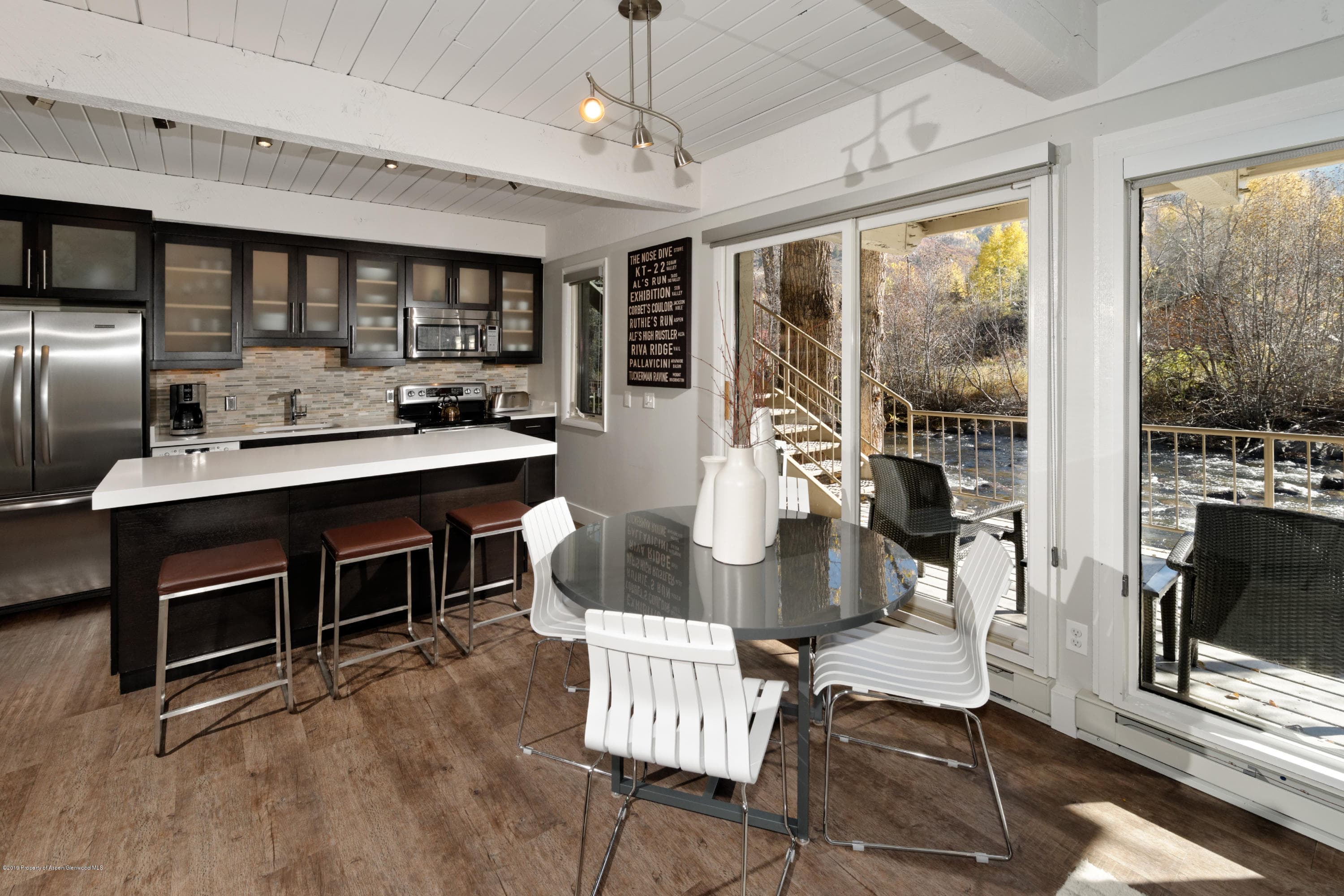 1039 E Cooper Avenue 27, Aspen, CO 81611 - Photo 5