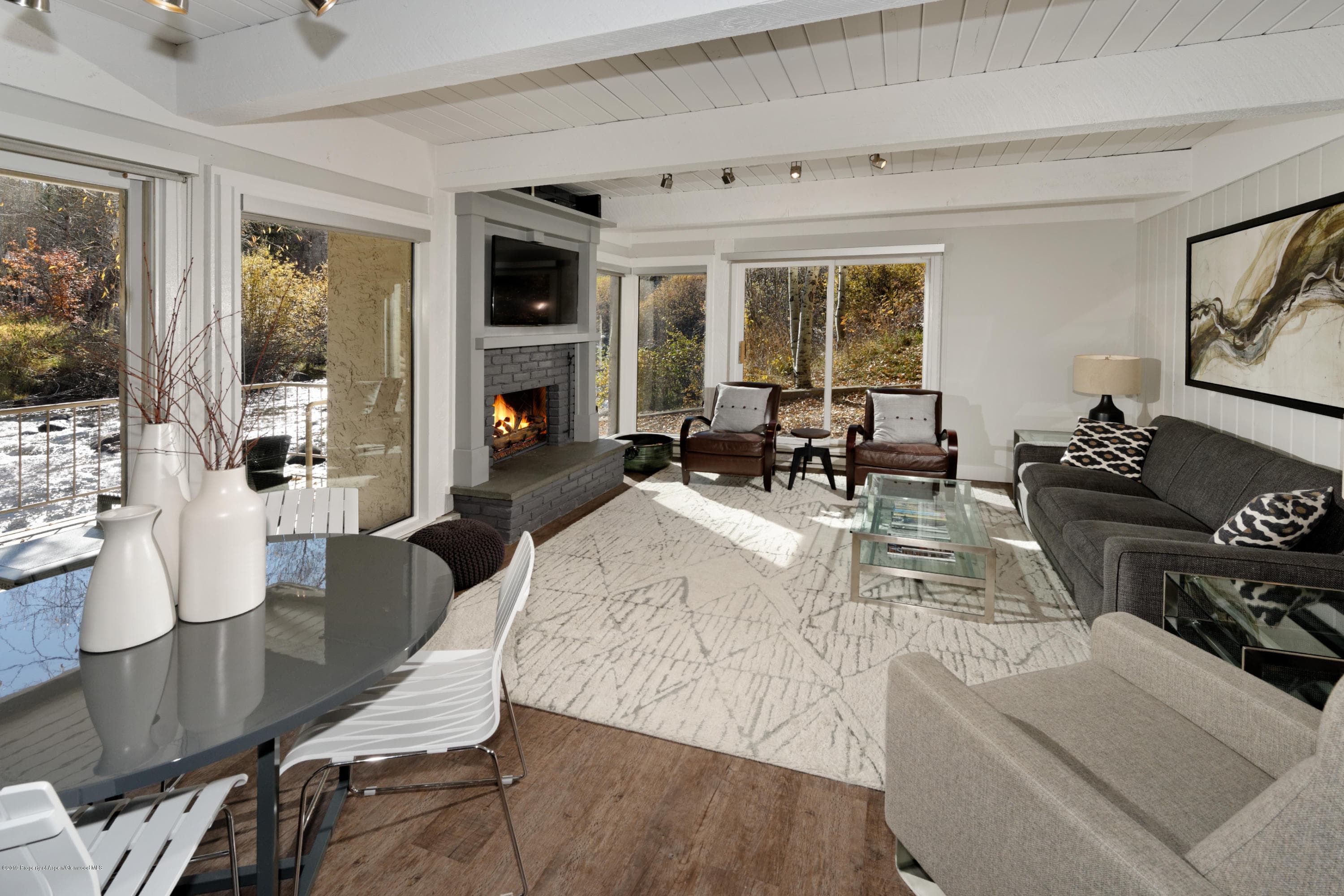 1039 E Cooper Avenue 27, Aspen, CO 81611