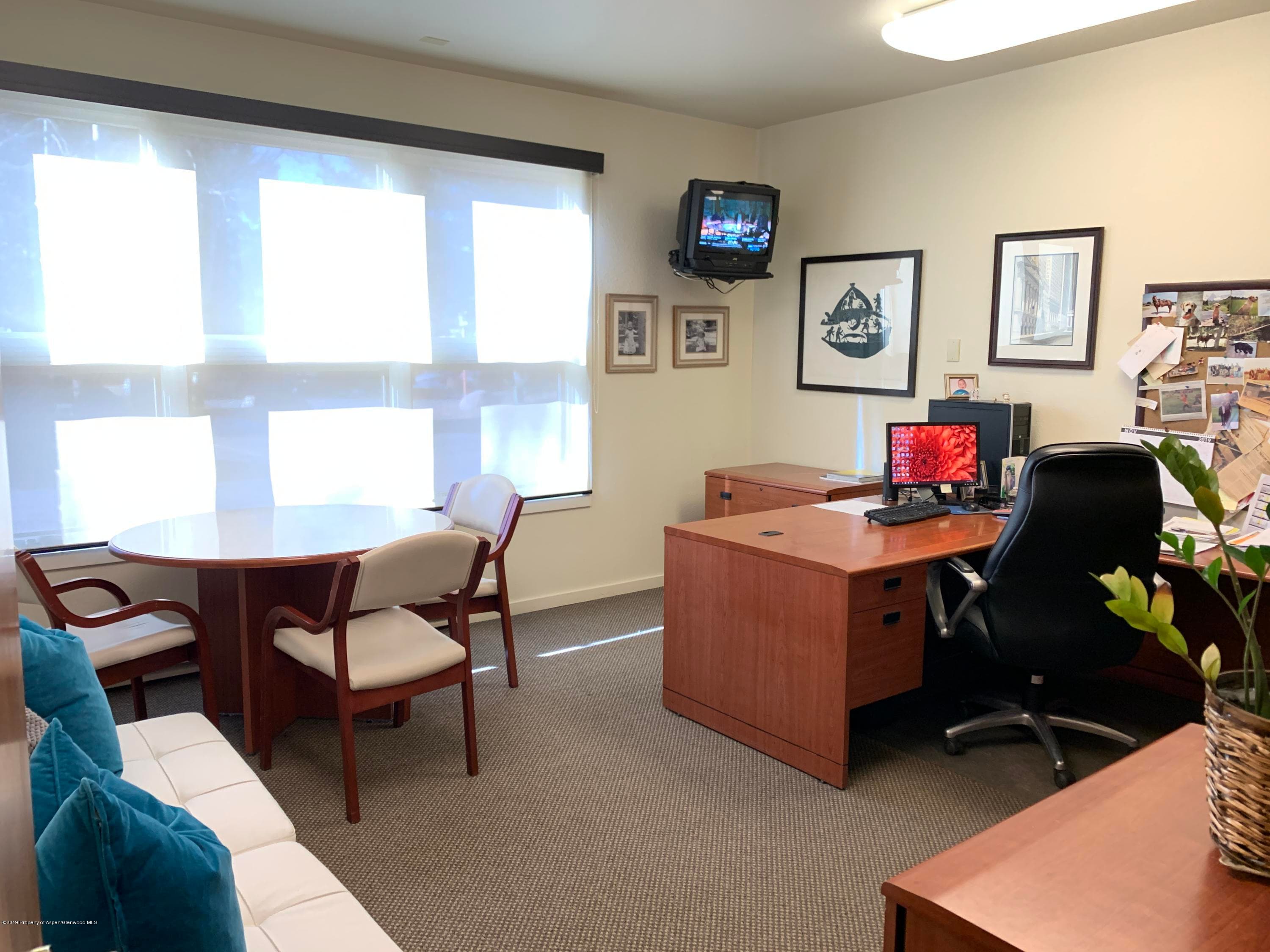 309 Pacific Avenue Units C & D, Aspen, CO 81611 - Photo 14