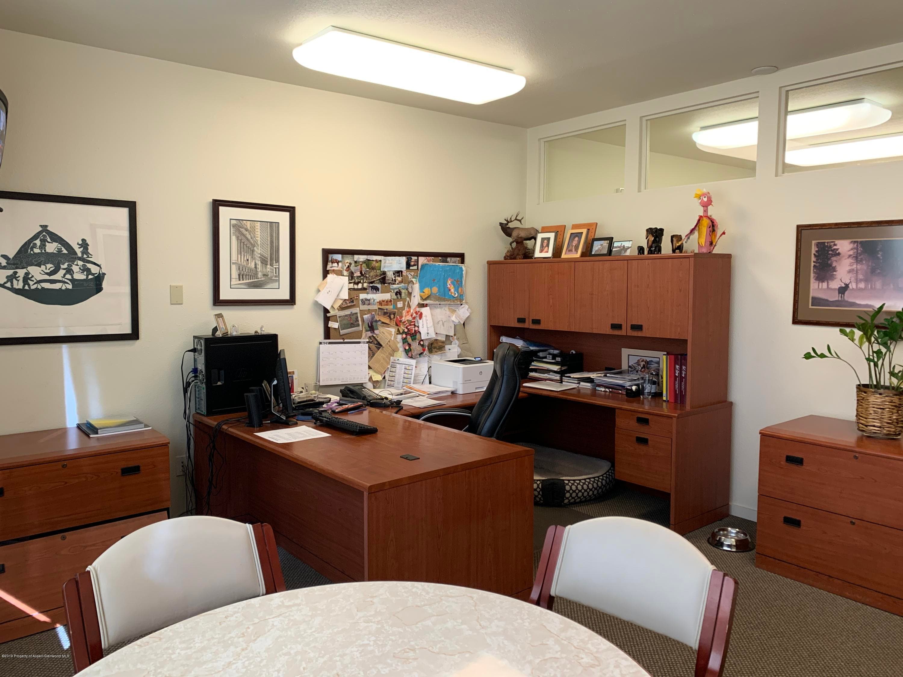 309 Pacific Avenue Units C & D, Aspen, CO 81611 - Photo 15