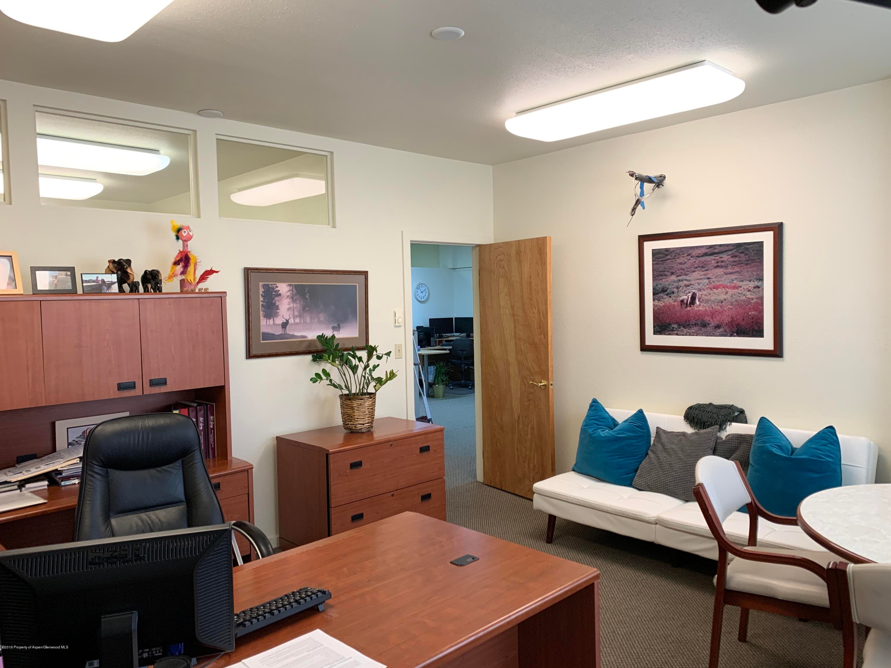 309 Pacific Avenue Units C & D, Aspen, CO 81611 - Photo 16