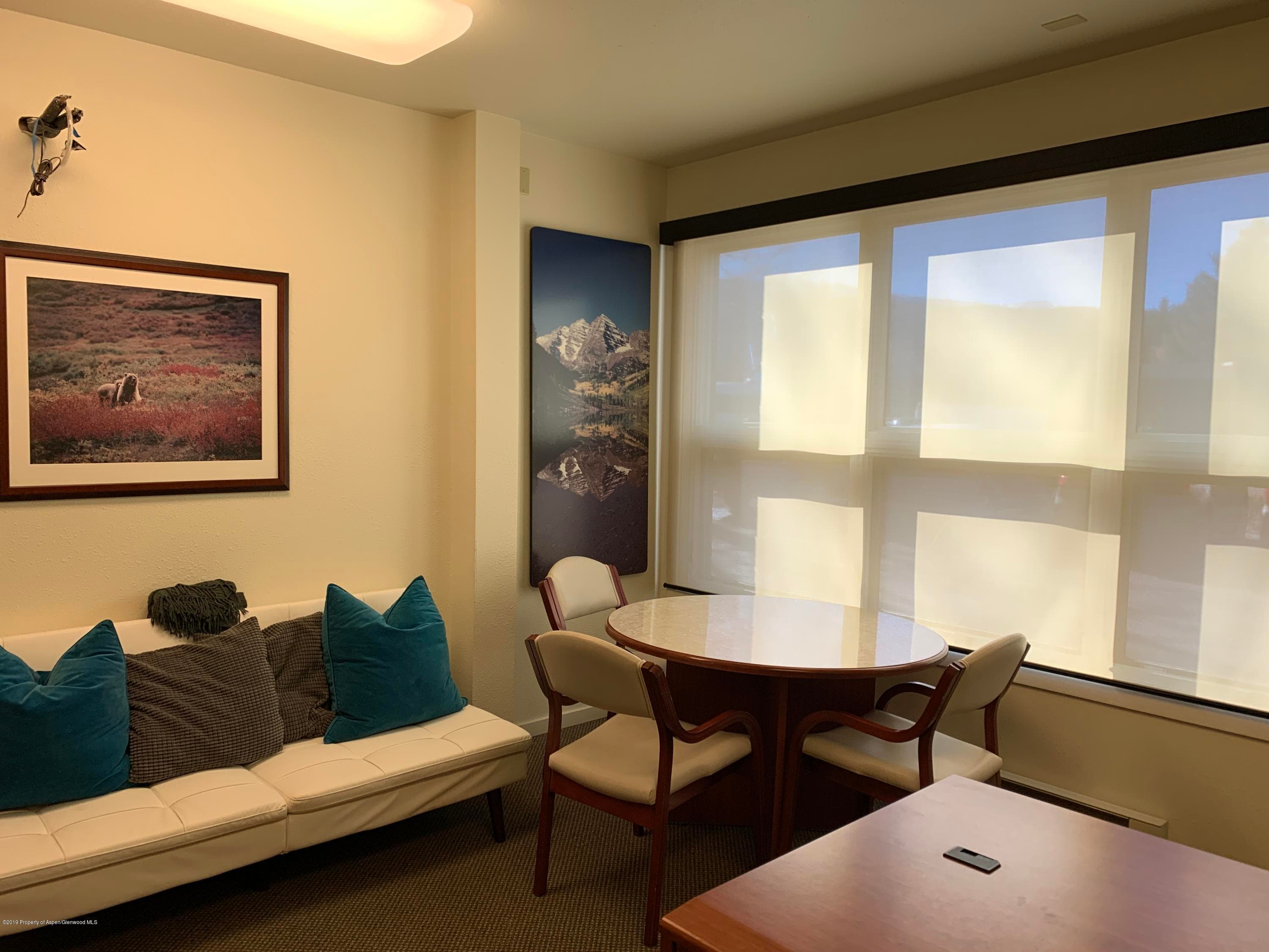 309 Pacific Avenue Units C & D, Aspen, CO 81611 - Photo 17