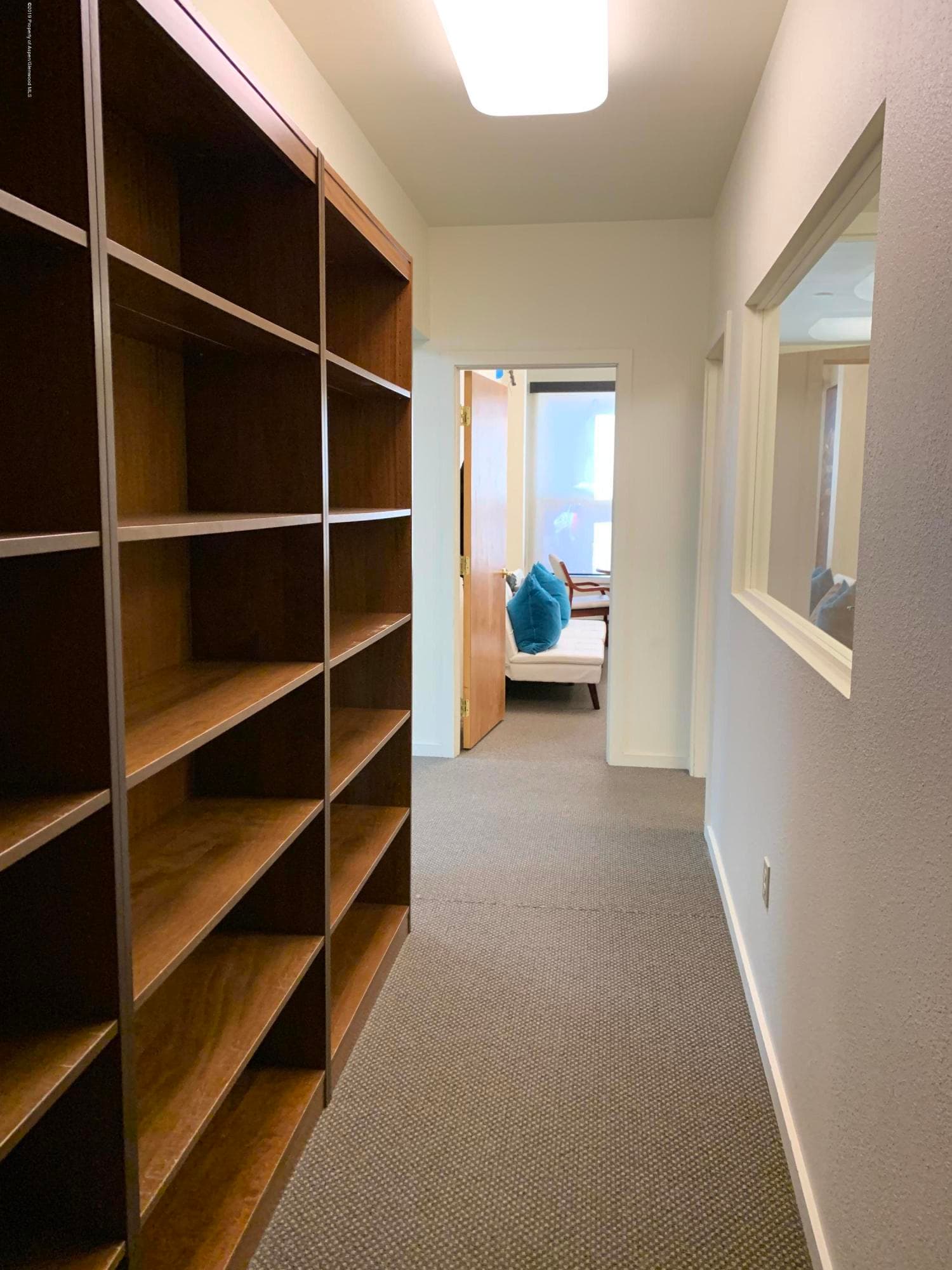 309 Pacific Avenue Units C & D, Aspen, CO 81611 - Photo 13
