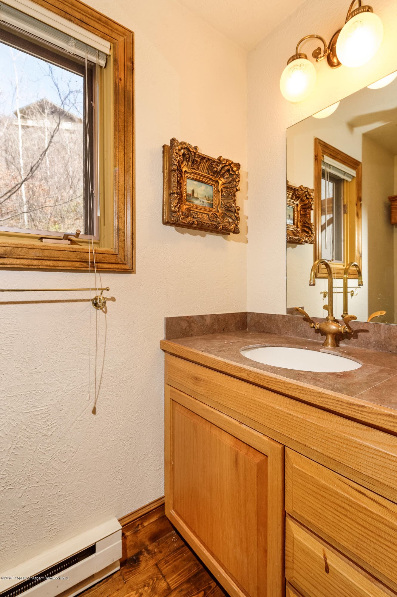 184 Mountain Laurel Drive, Aspen, CO 81611 - Photo 7