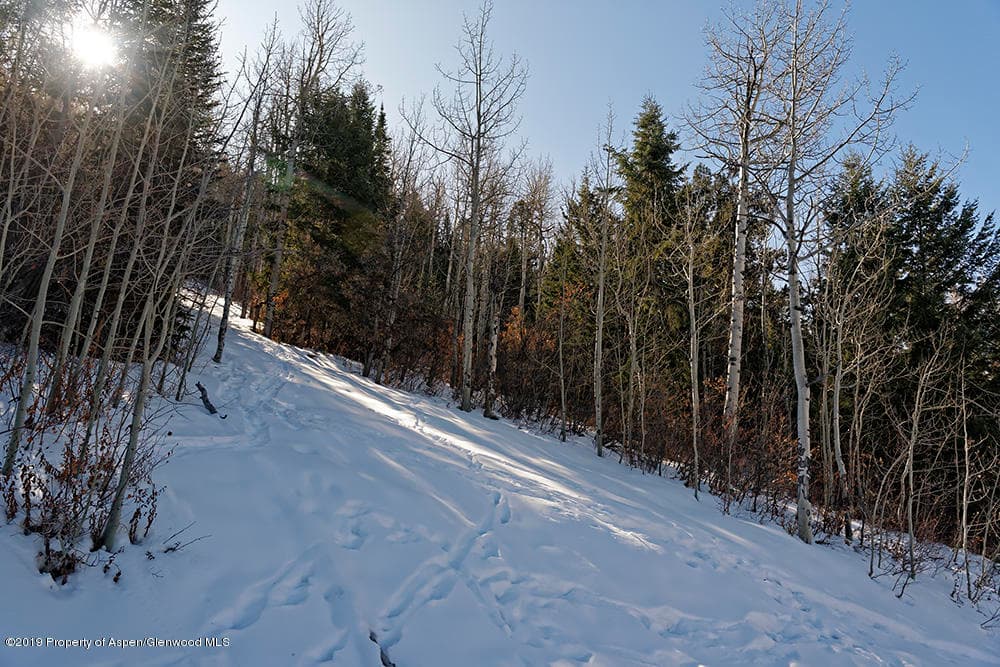 44 Falcon Road, Aspen, CO 81611 - Photo 8