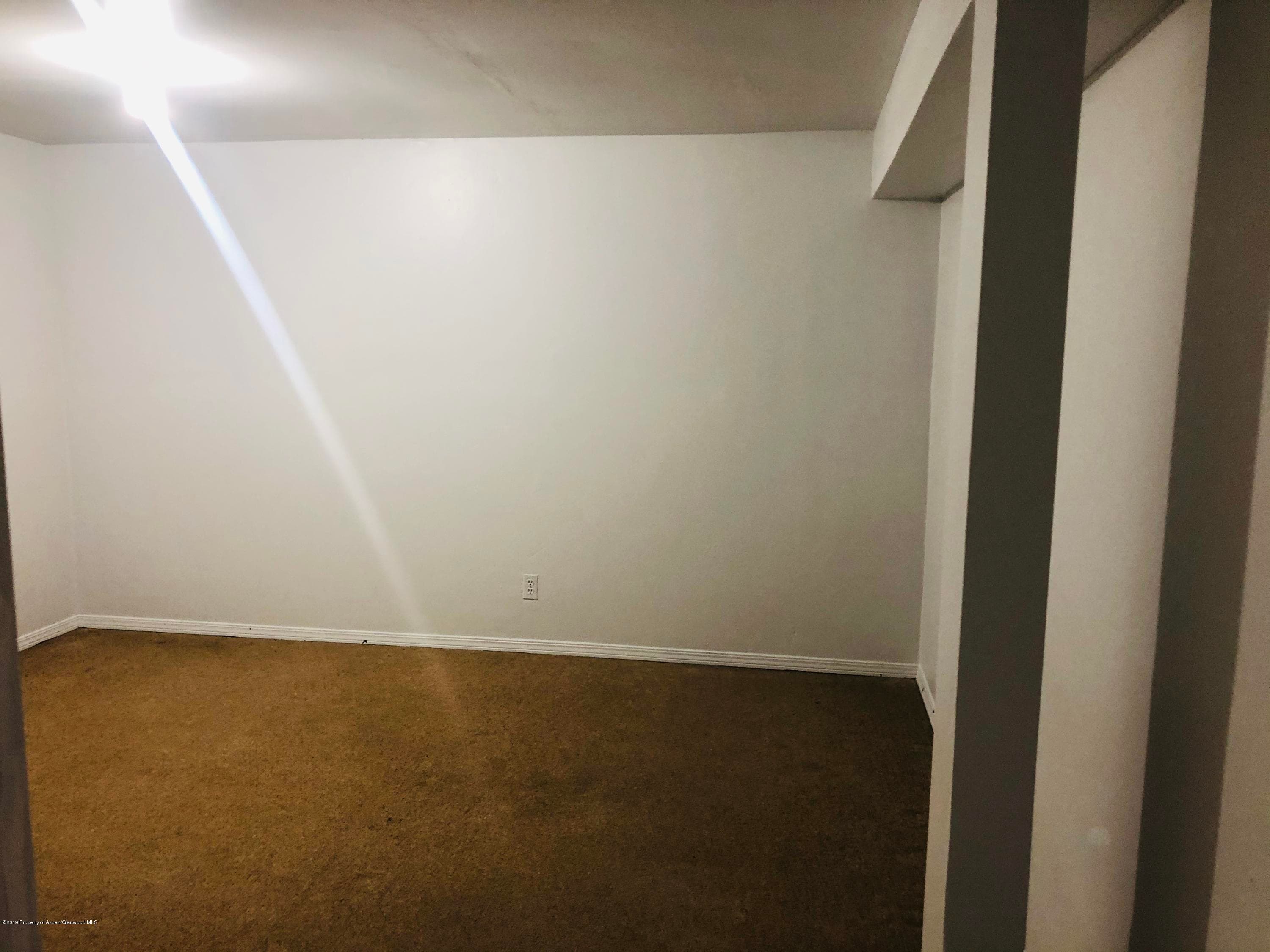 883 Colorado Avenue, Carbondale, CO 81623 - Photo 20