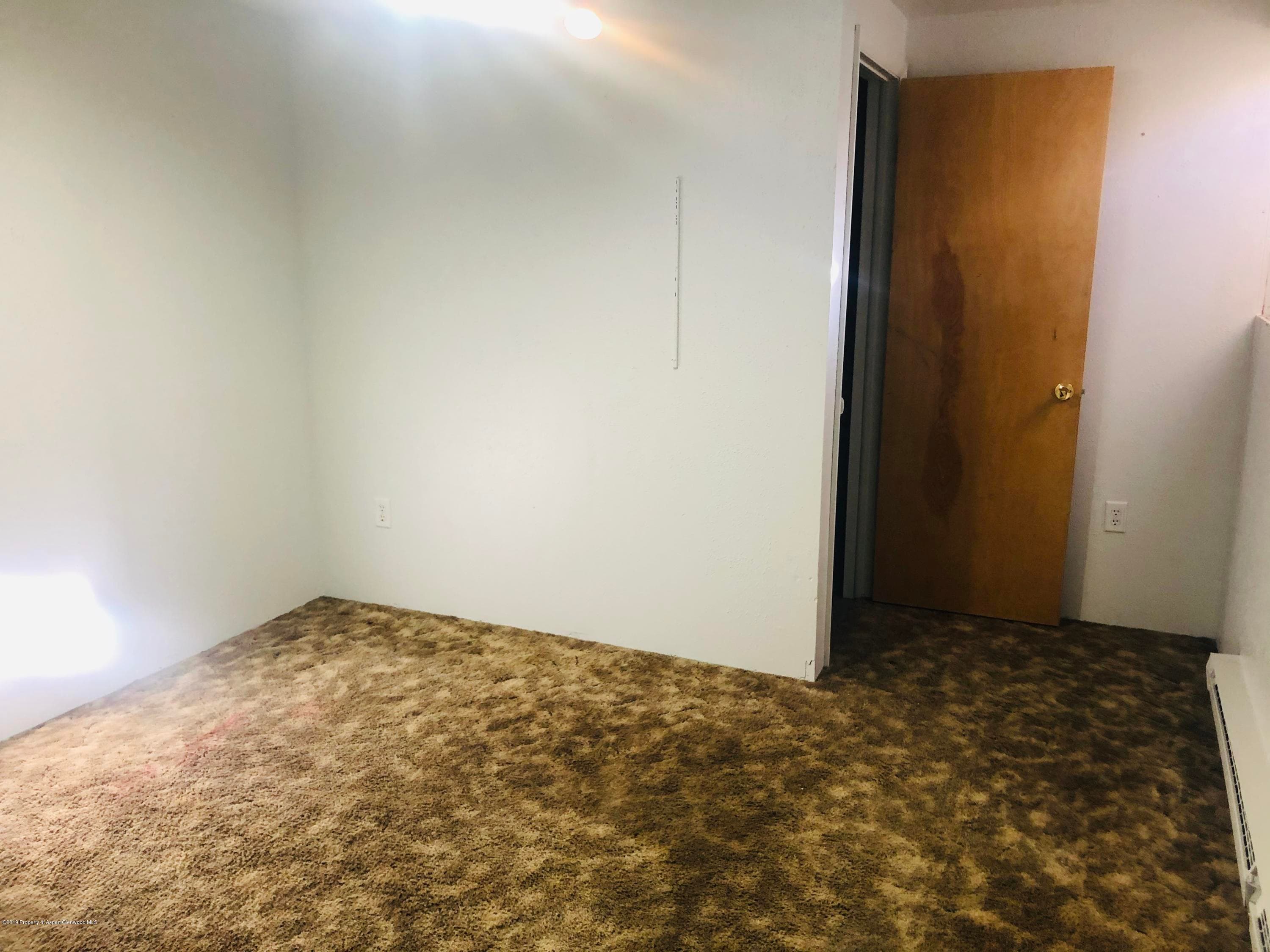 883 Colorado Avenue, Carbondale, CO 81623 - Photo 19