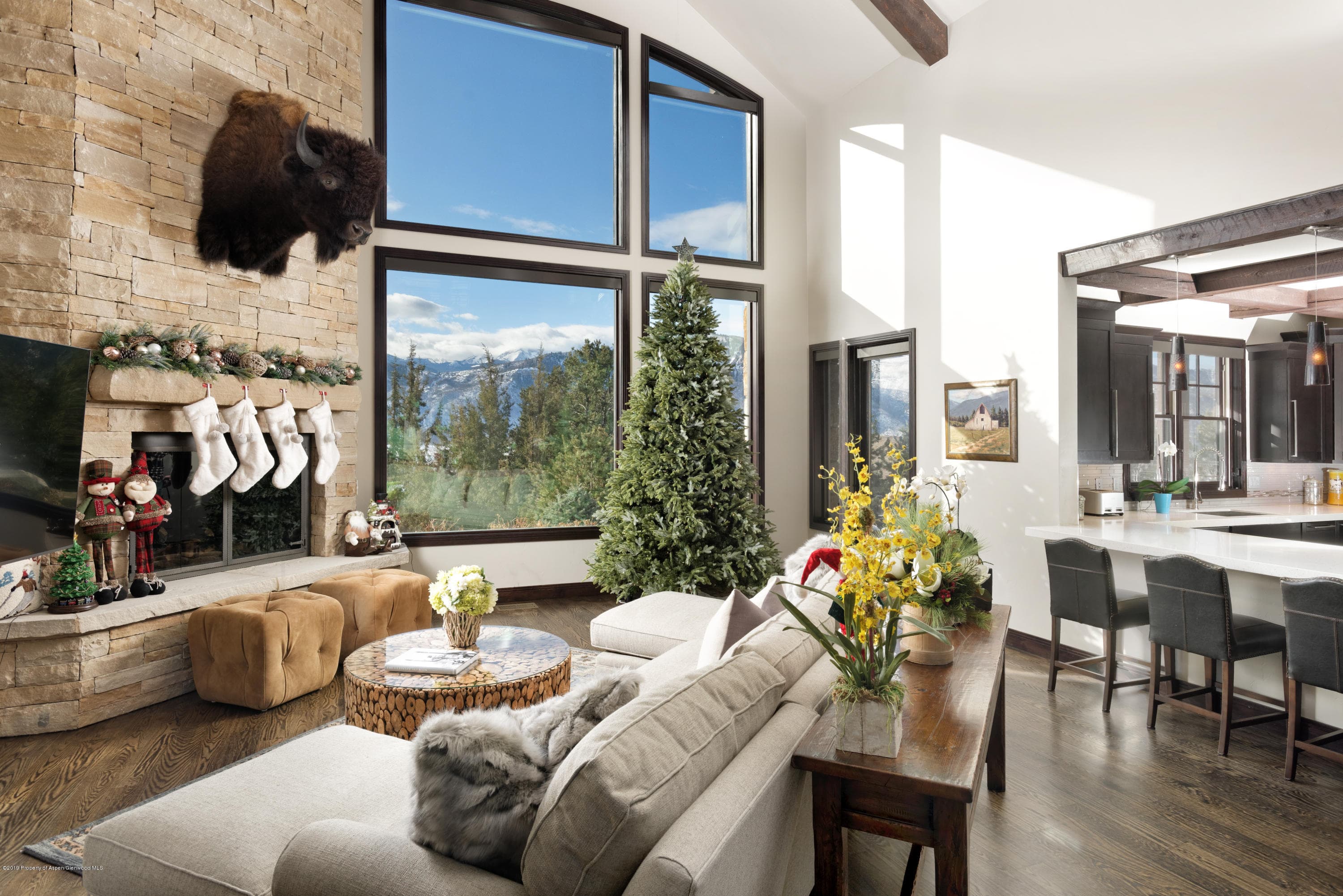 841 Hillcrest Drive, Basalt, CO 81621 - Photo 5