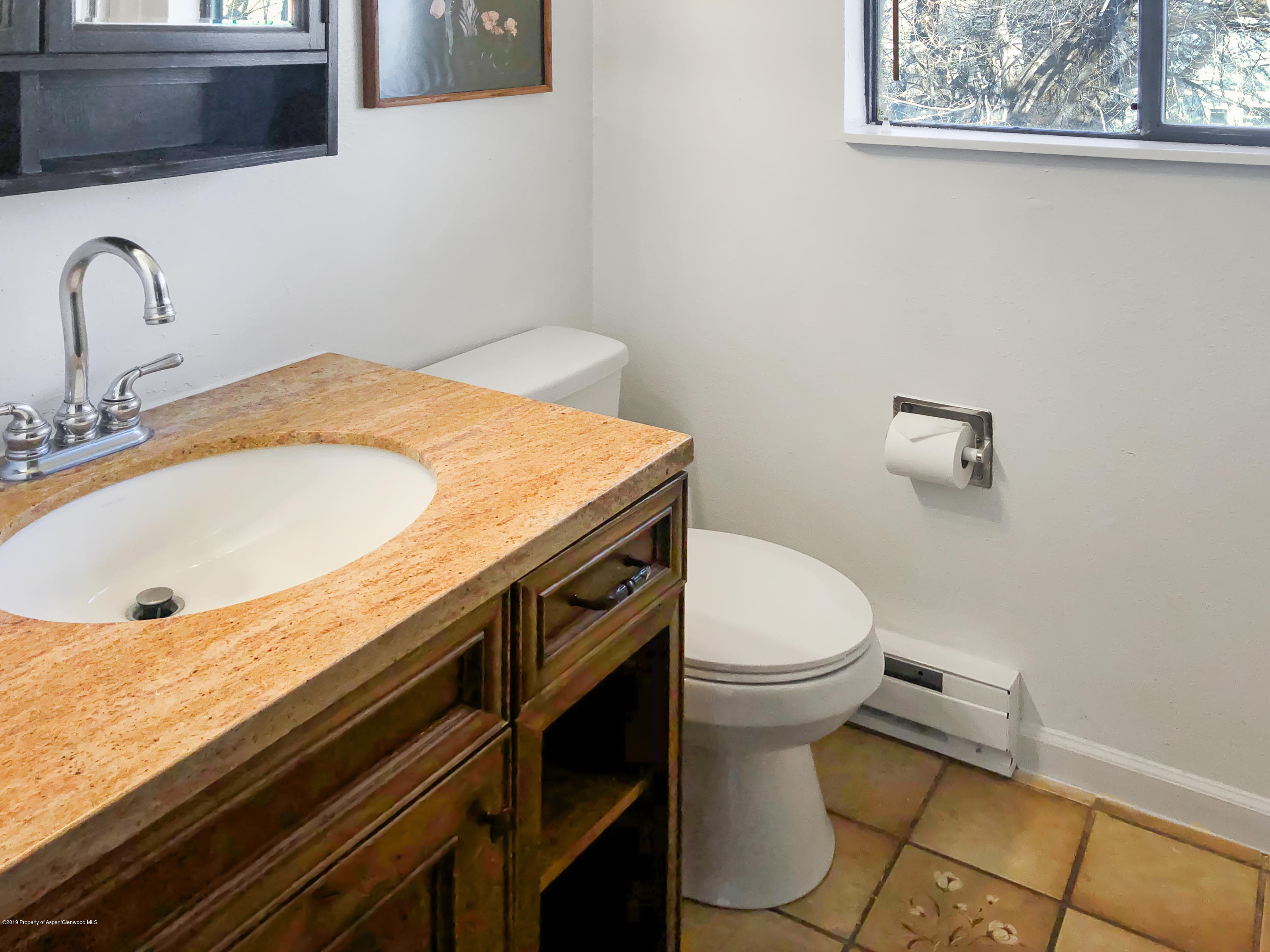883 Colorado Avenue, Carbondale, CO 81623 - Photo 14