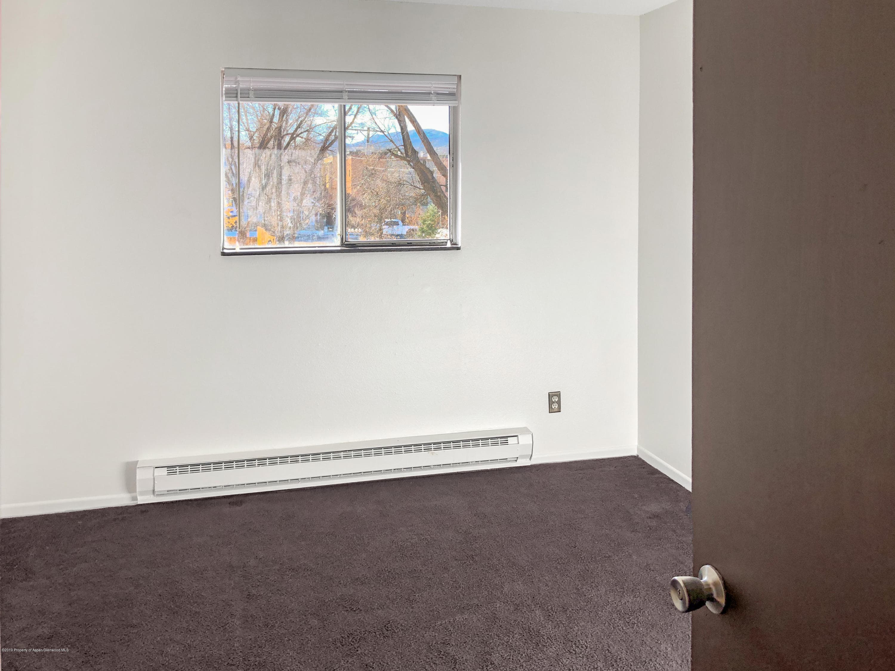 883 Colorado Avenue, Carbondale, CO 81623 - Photo 11