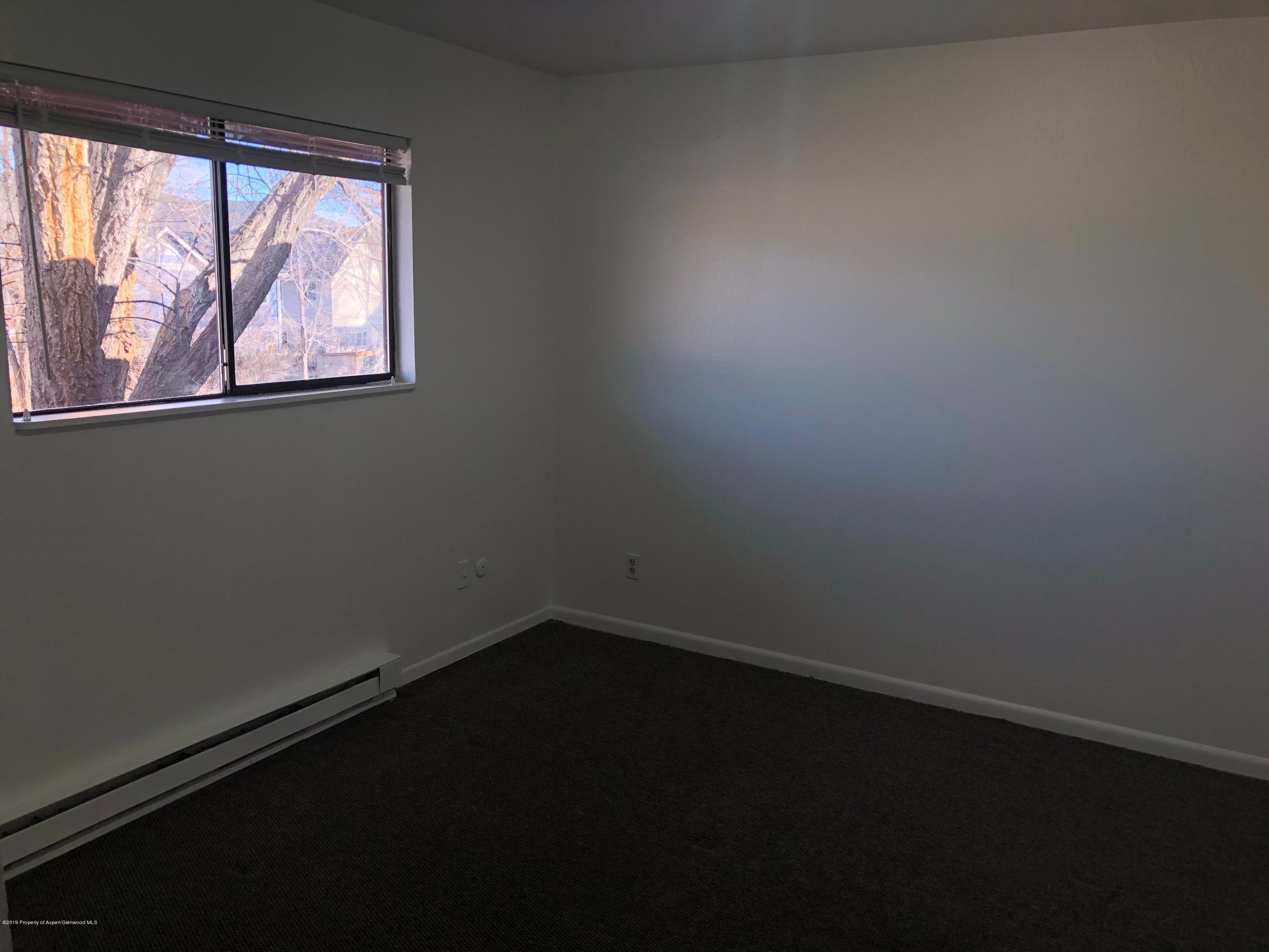 883 Colorado Avenue, Carbondale, CO 81623 - Photo 9