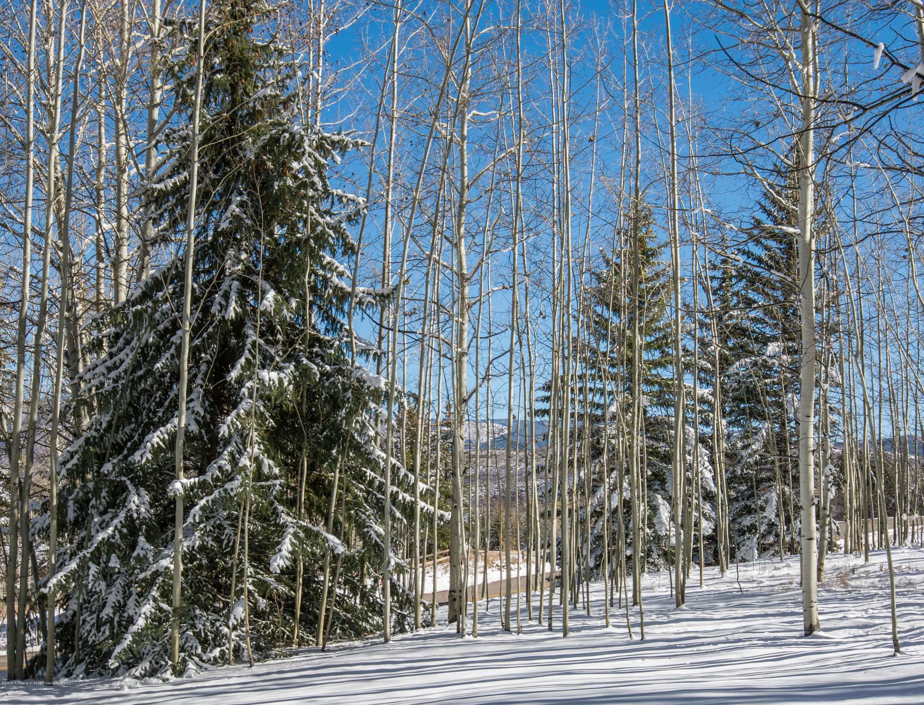 623 Faraway Road, Snowmass Village, CO 81615 - Photo 24