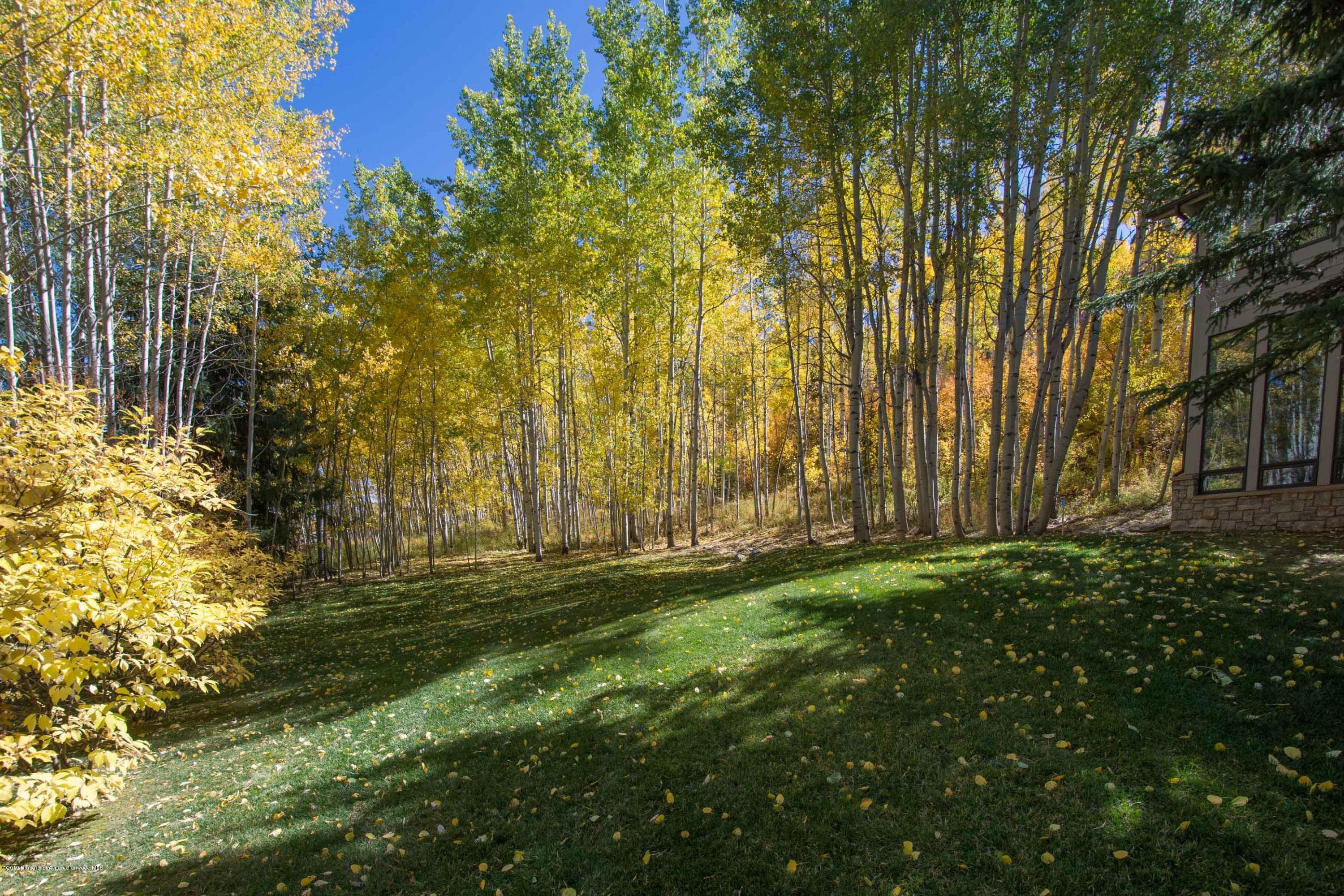 623 Faraway Road, Snowmass Village, CO 81615 - Photo 25