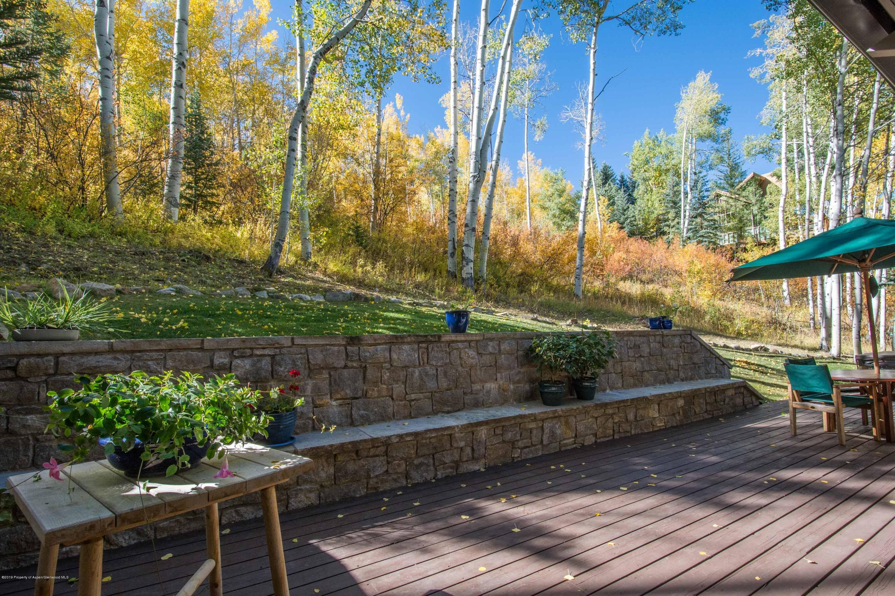 623 Faraway Road, Snowmass Village, CO 81615 - Photo 22