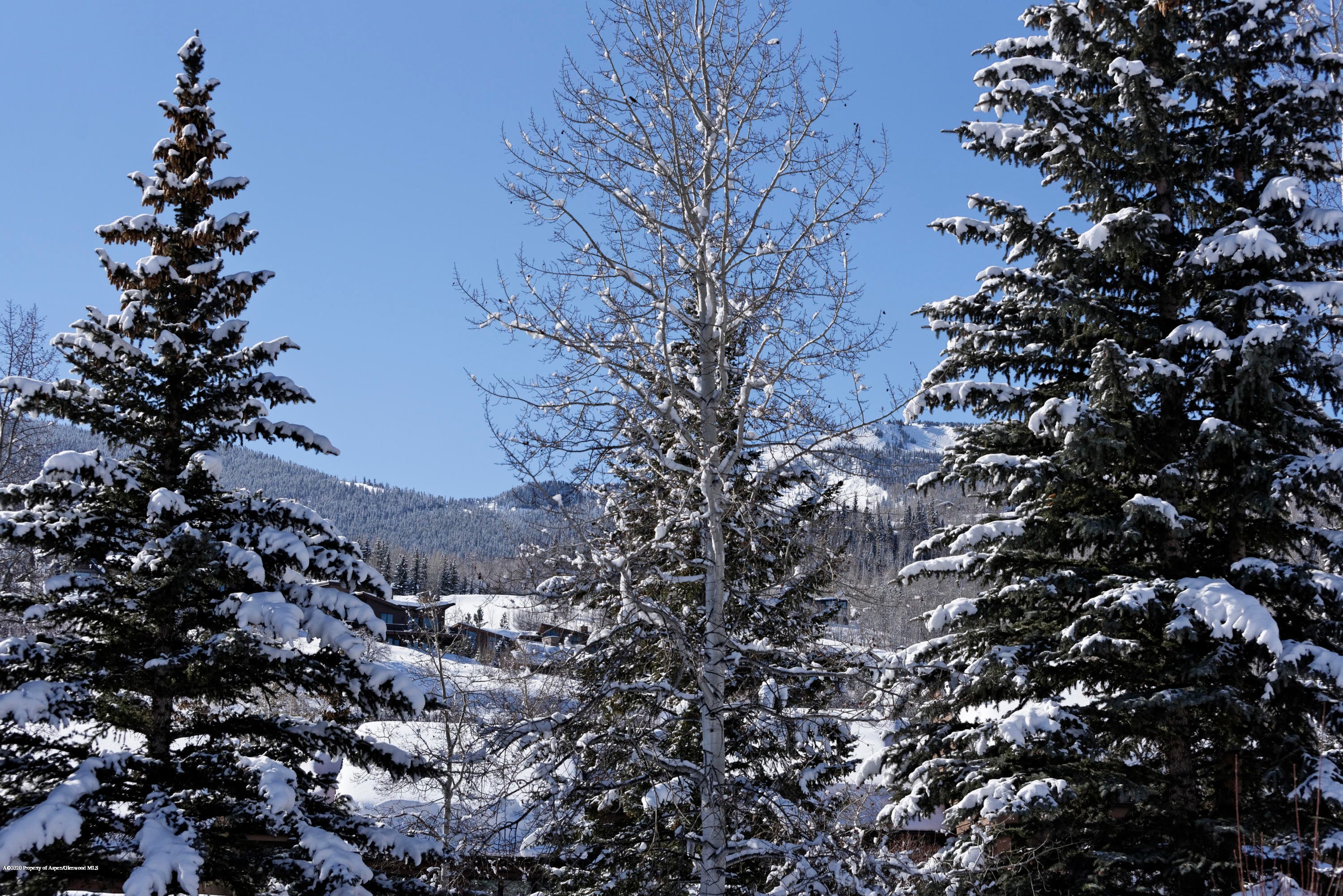 467 Snowmass Club Circle 27, Snowmass Village, CO 81615 - Photo 21