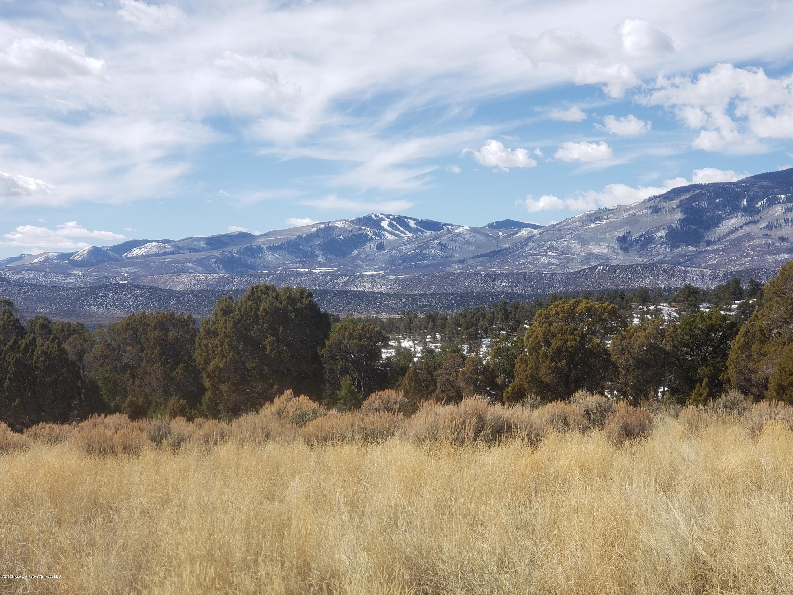 2347 Elk Springs Drive, Glenwood Springs, CO 81601 - Photo 4